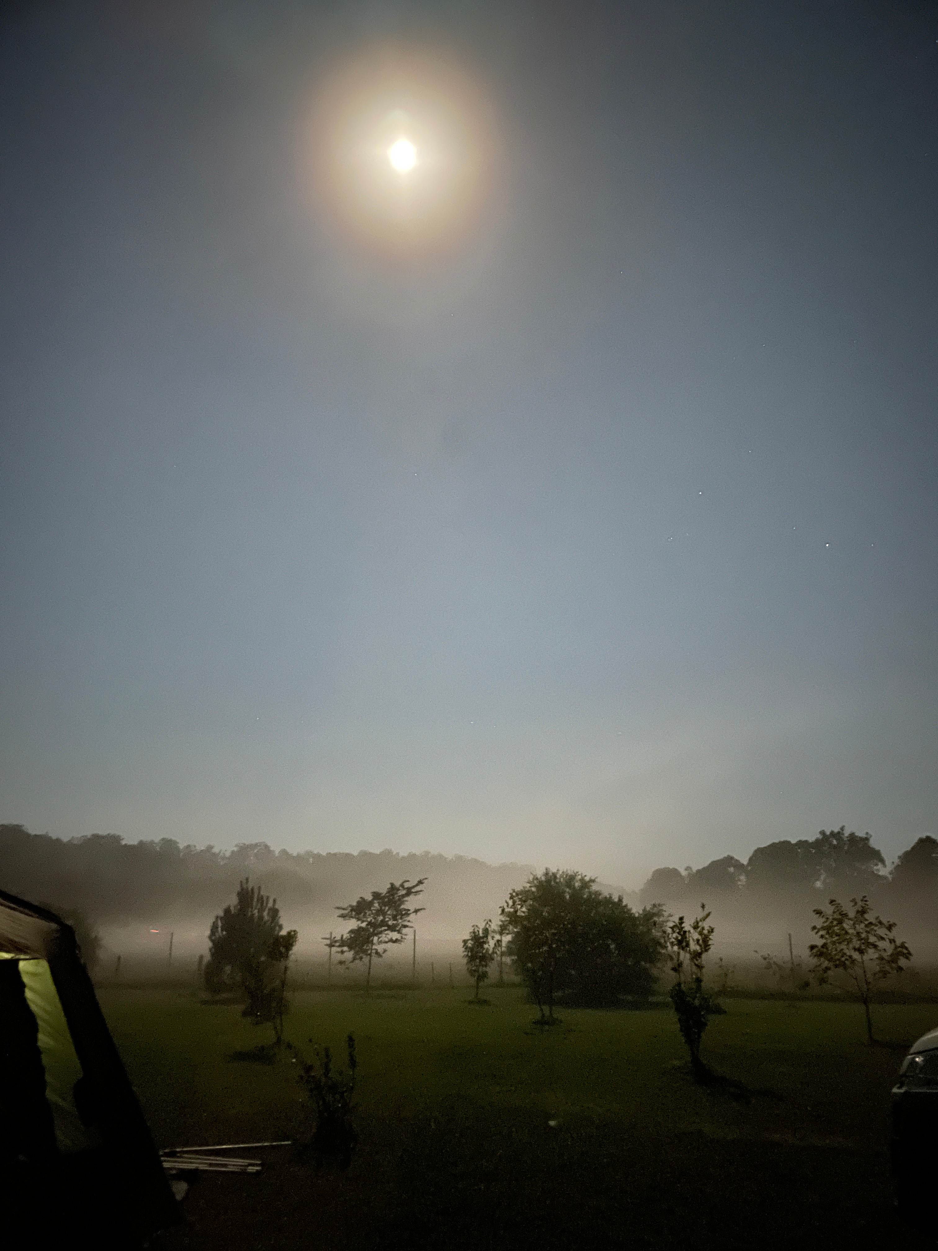 Mogo Creek Homestead - Mogo MTB