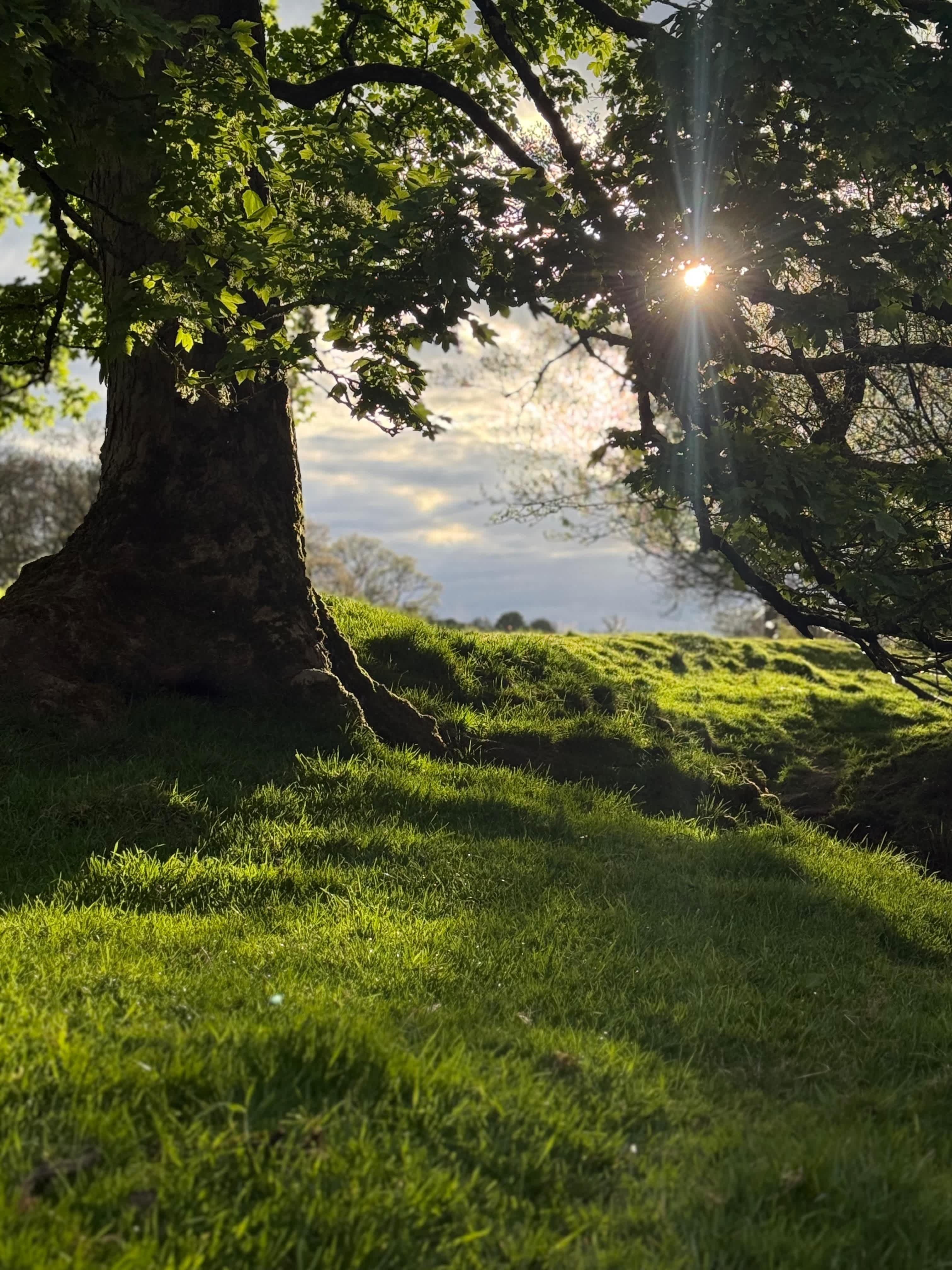 Gwersyllt Rhos y Gallt Campsite