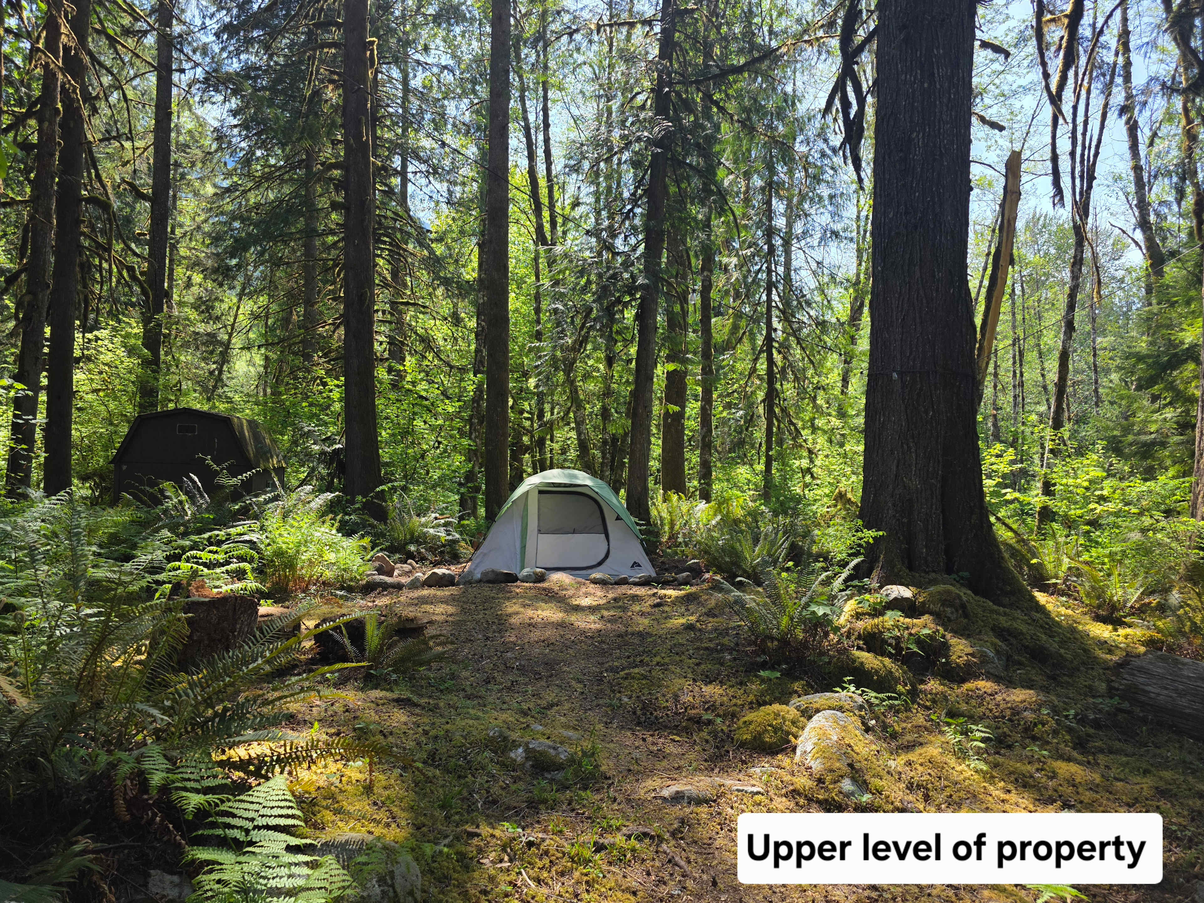 Hidden Gem Base Camp-Marblemount WA