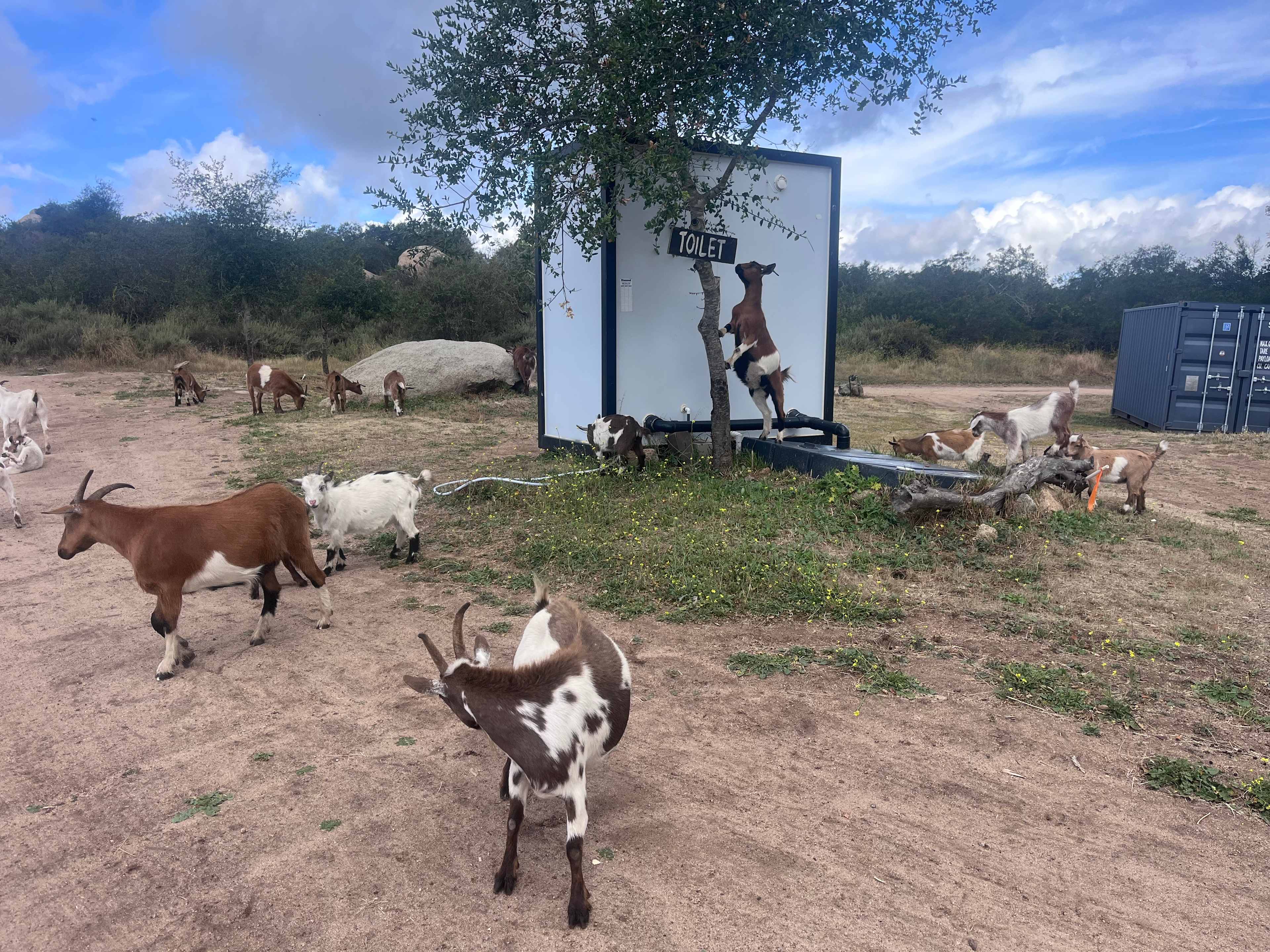 Splitrock Farm and Retreat