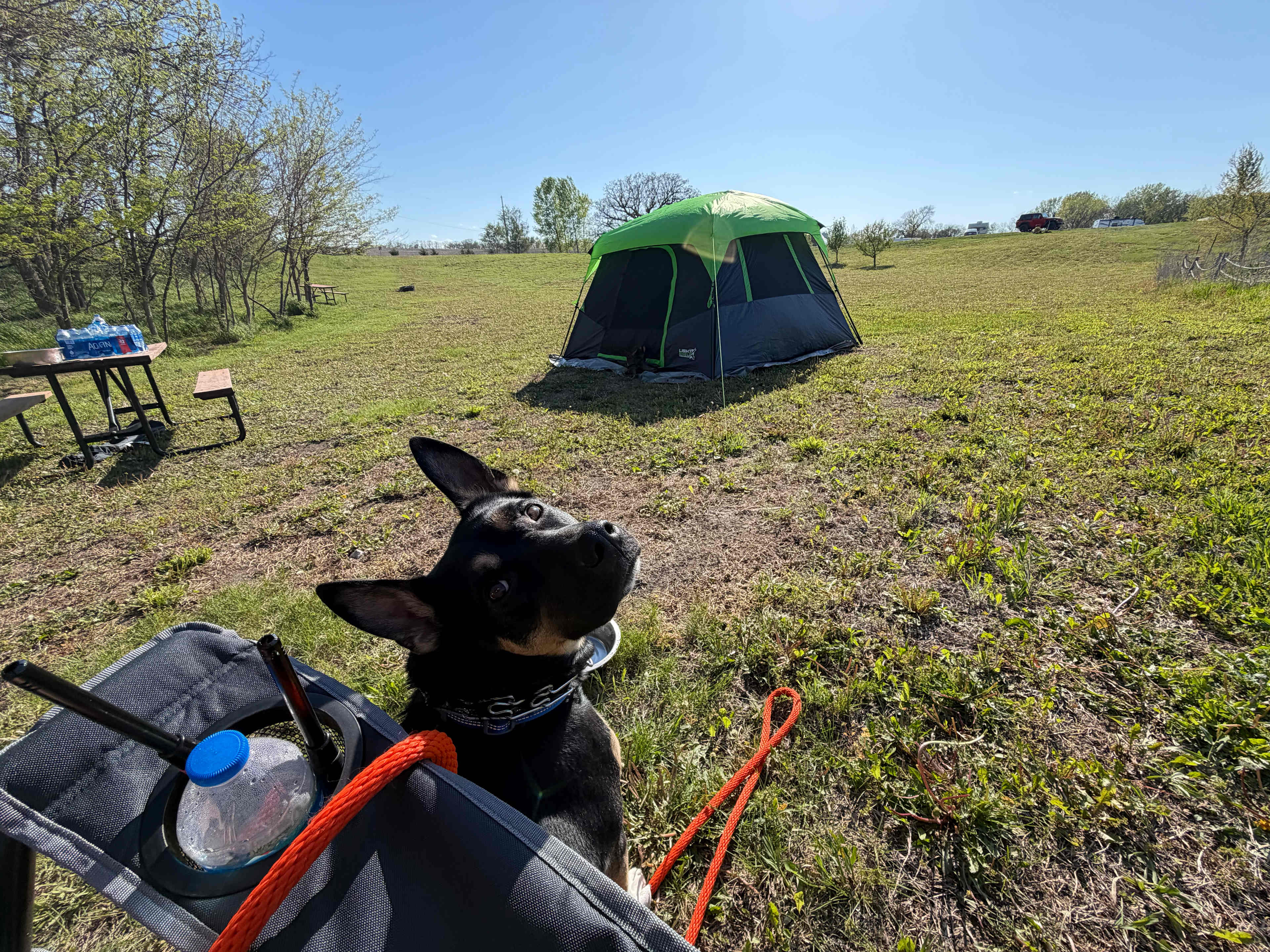 The wind was a bit challenging to get the tent up. 