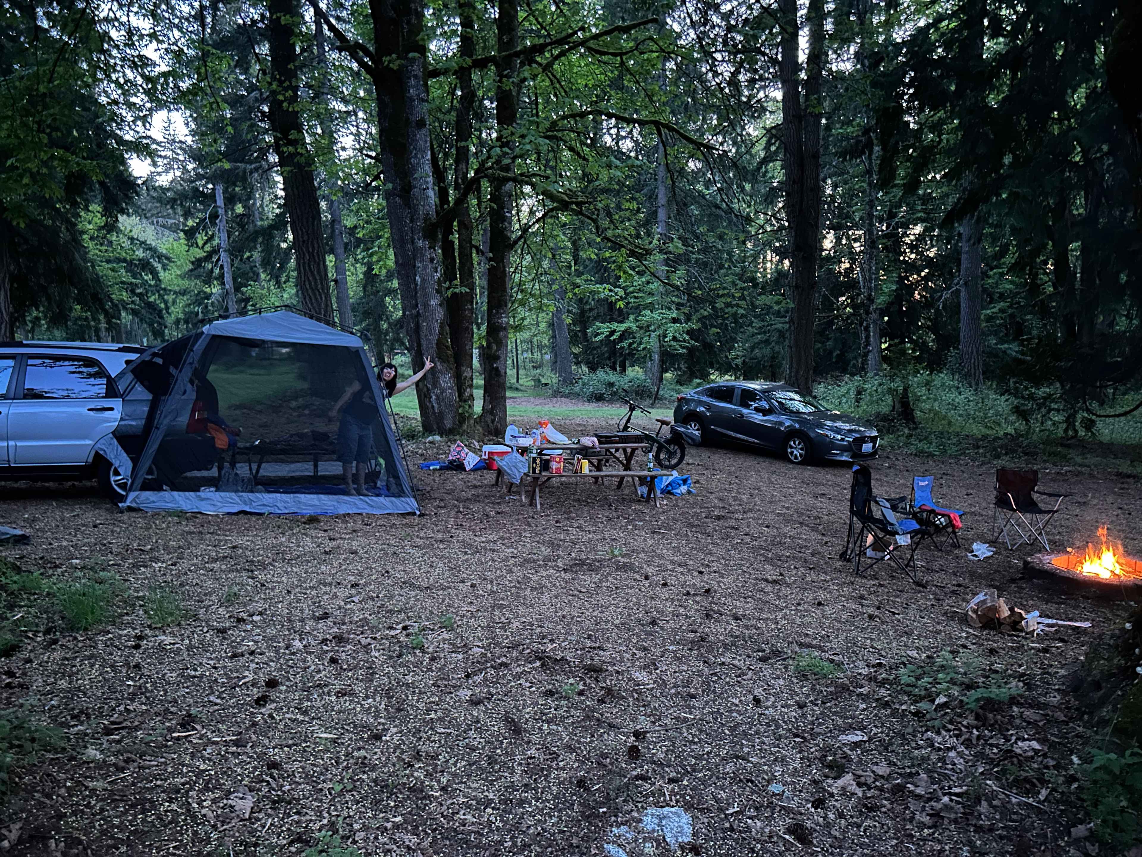 Good times at Serenity Grove!