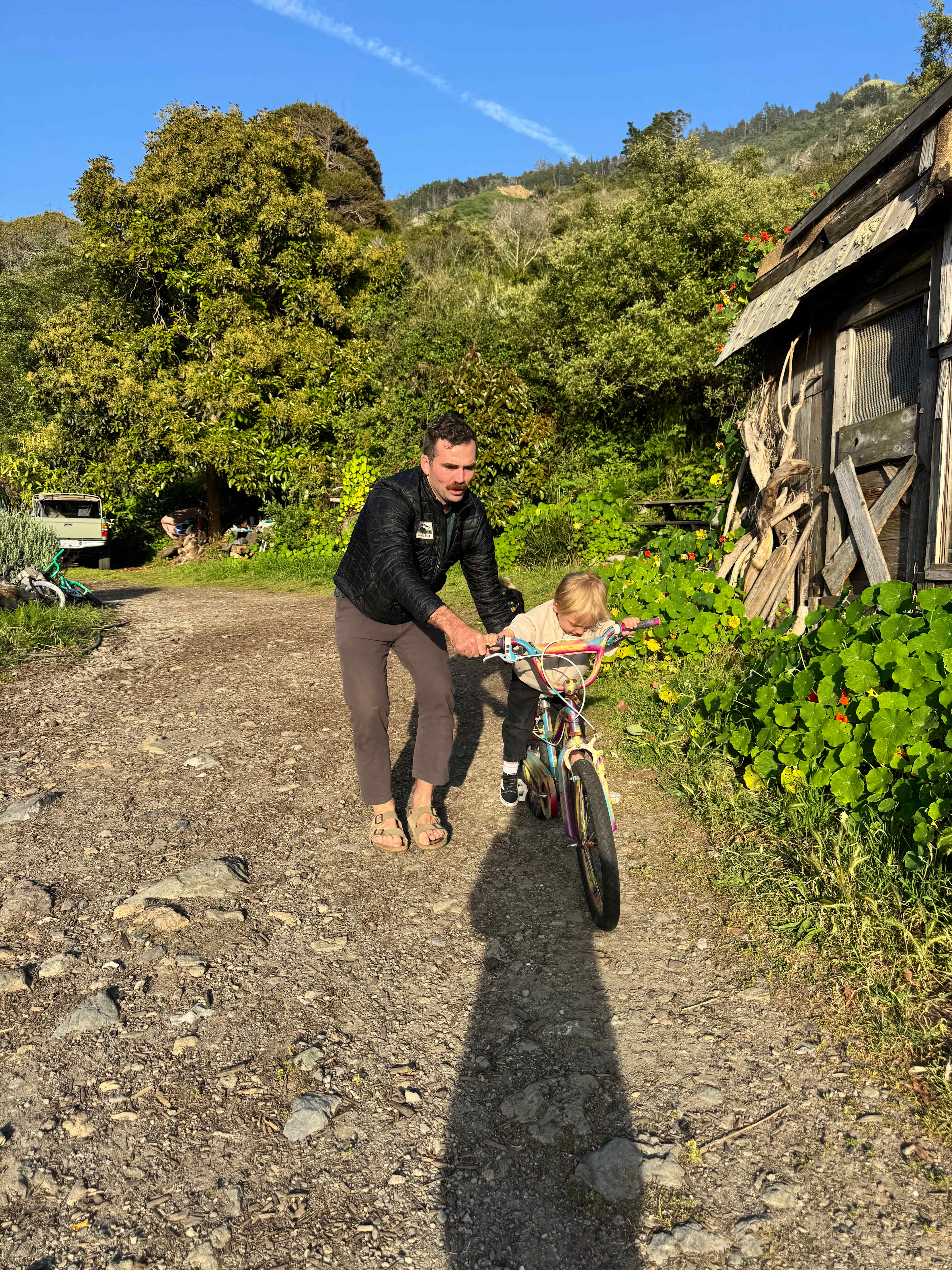 dabudage Big Sur