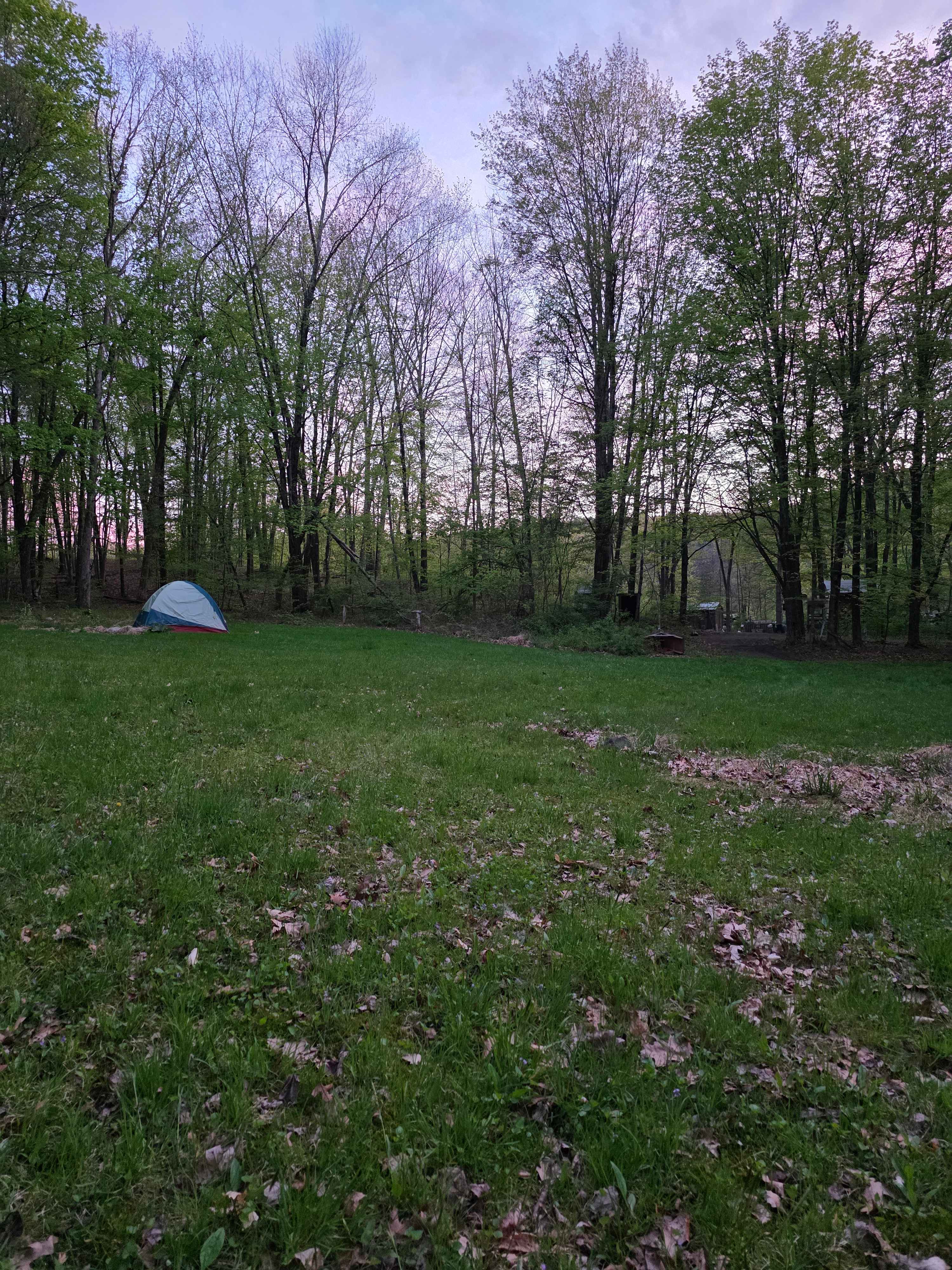 Red Fox Meadow Campsite