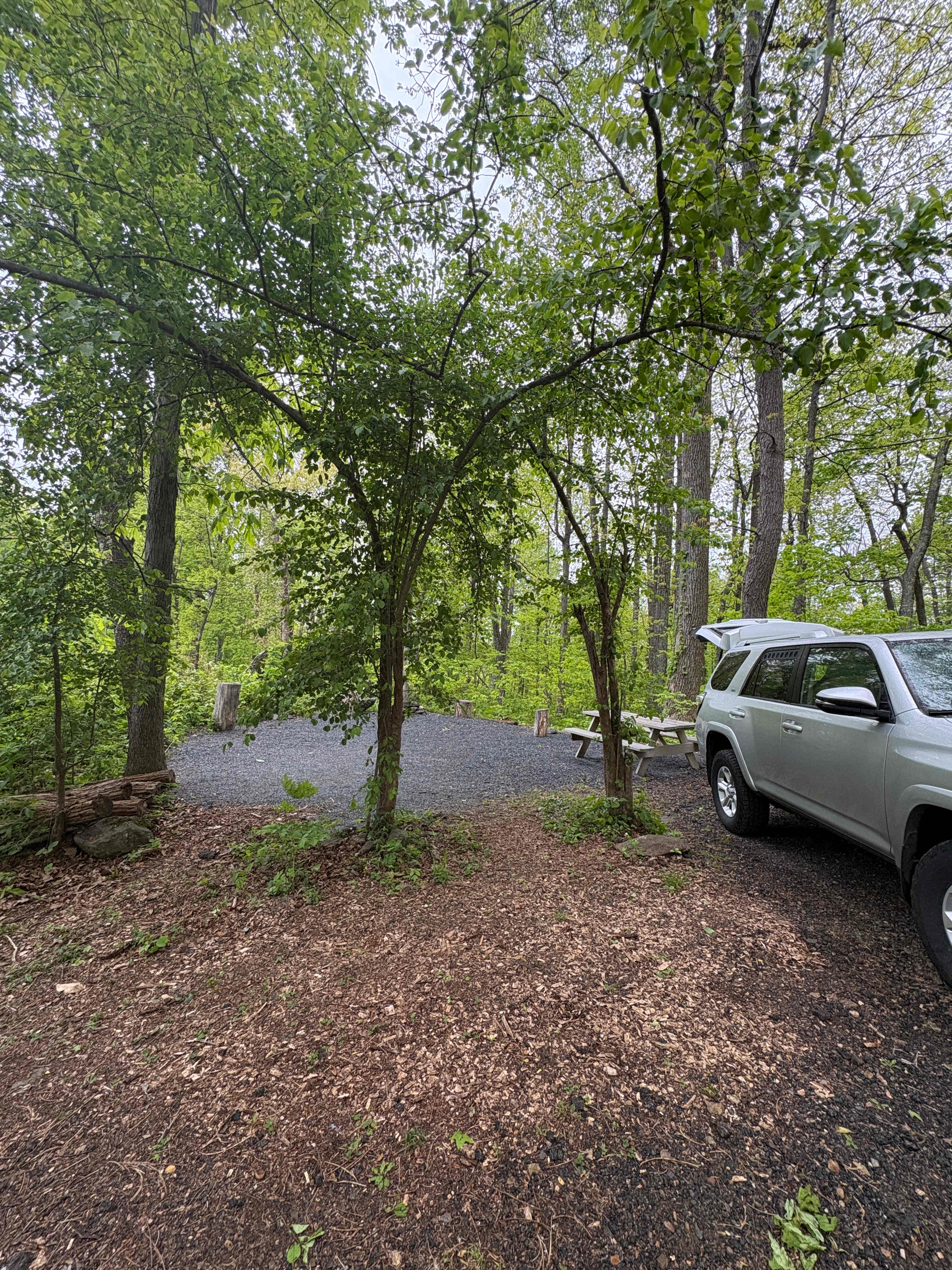 Love Ridge Mountain Lodging