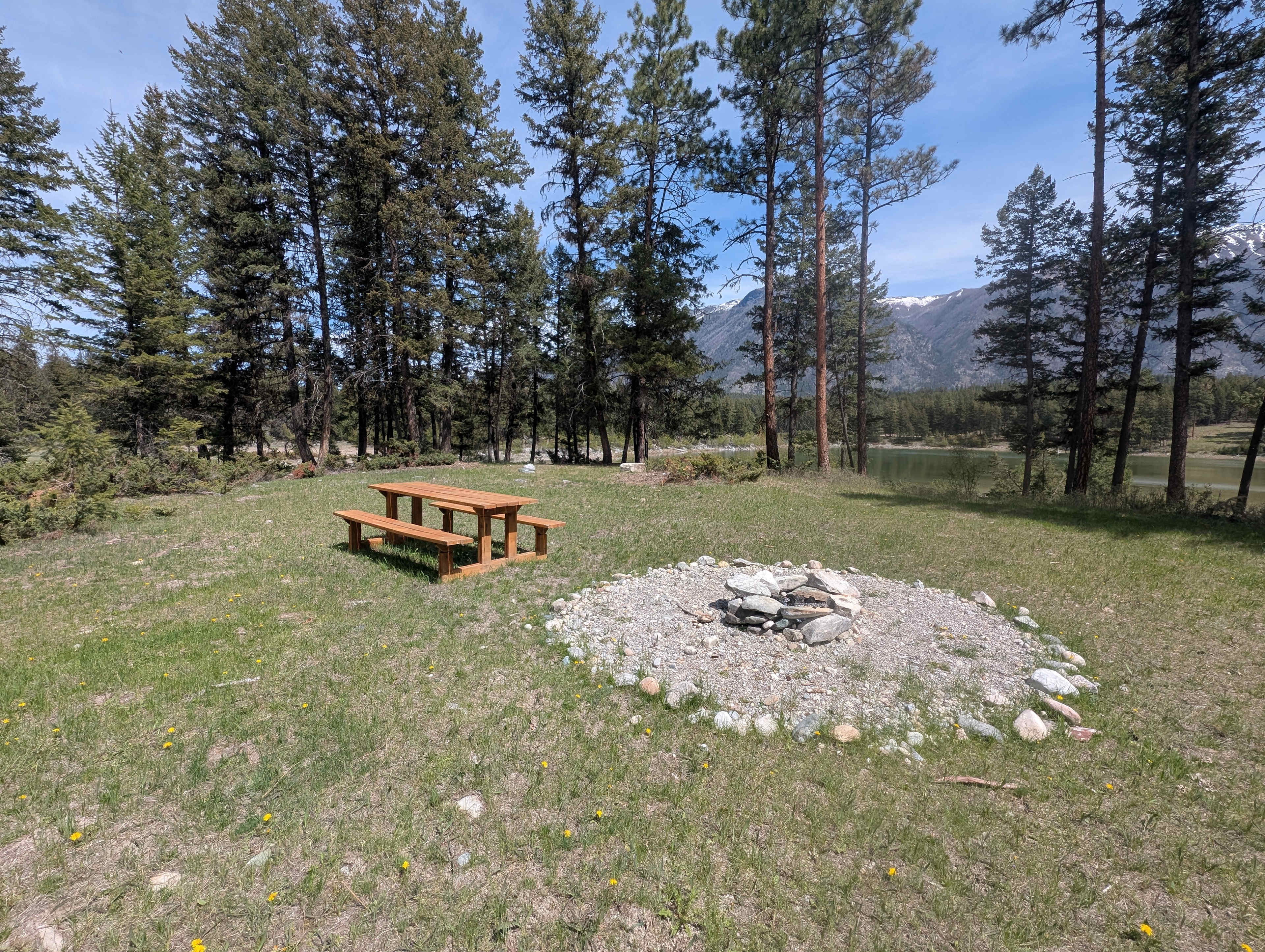Picture of the site