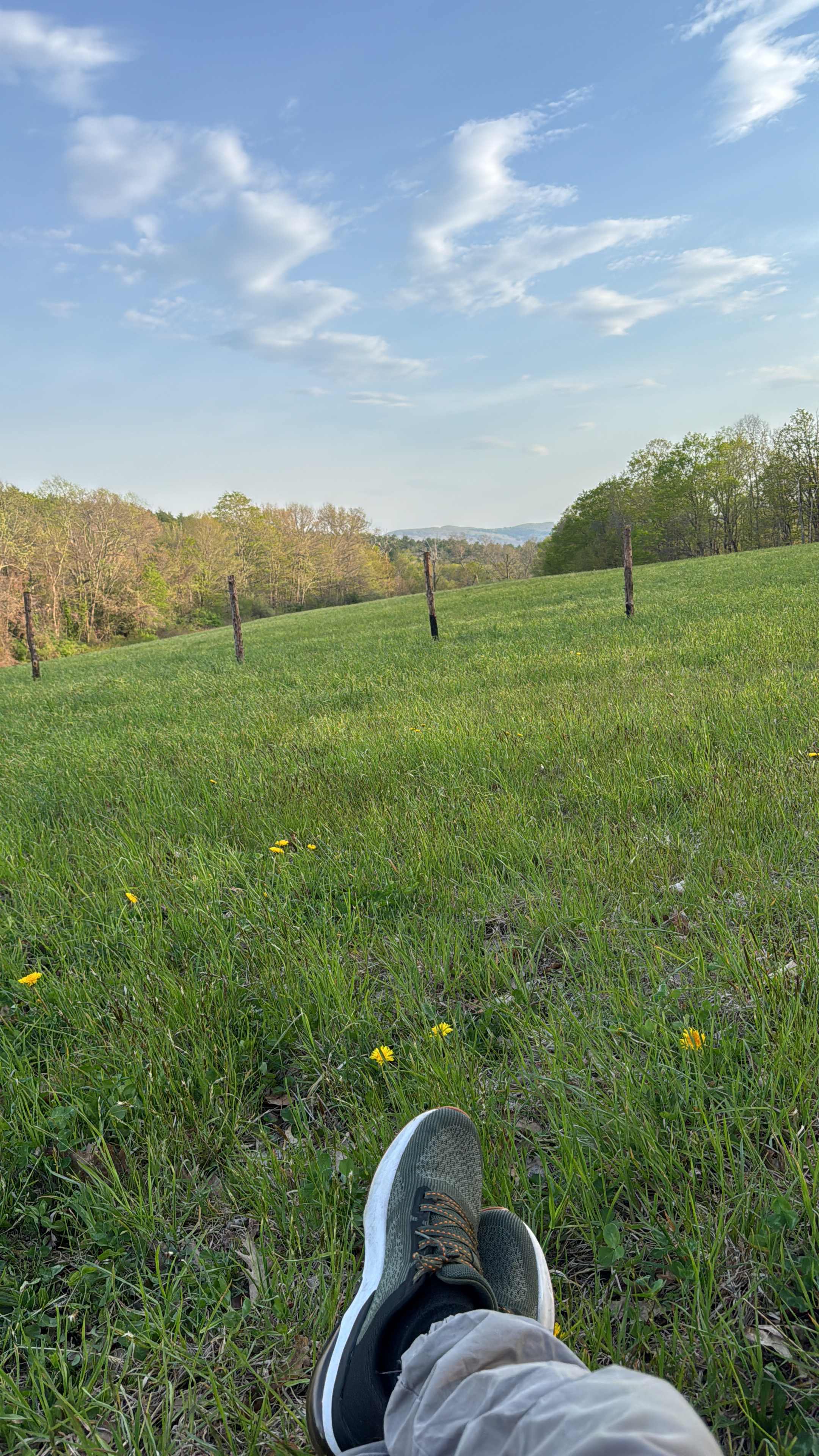 Goodfield Farm Rustic Camping
