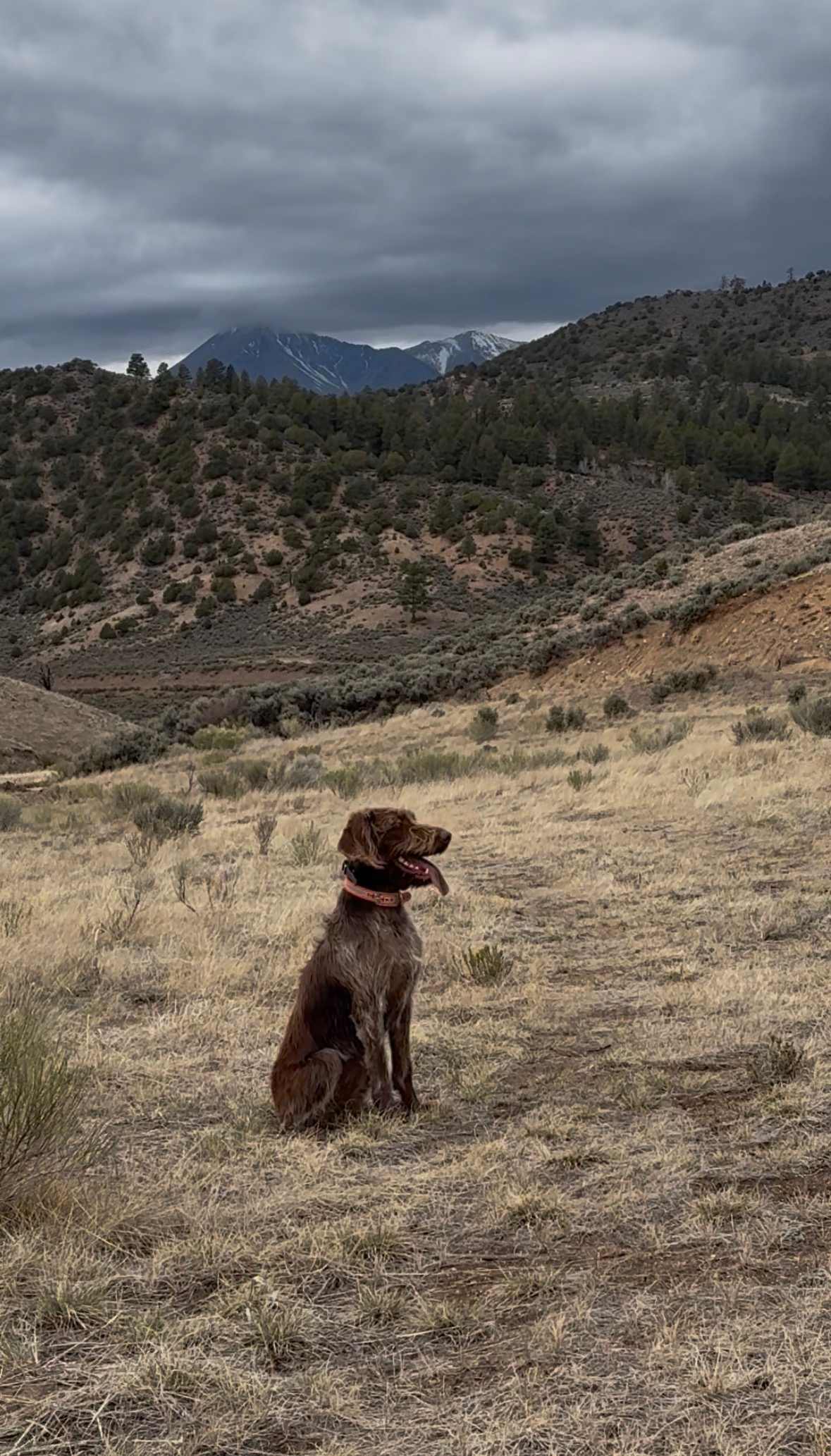 Coyote Canyon Mountain Base Camp