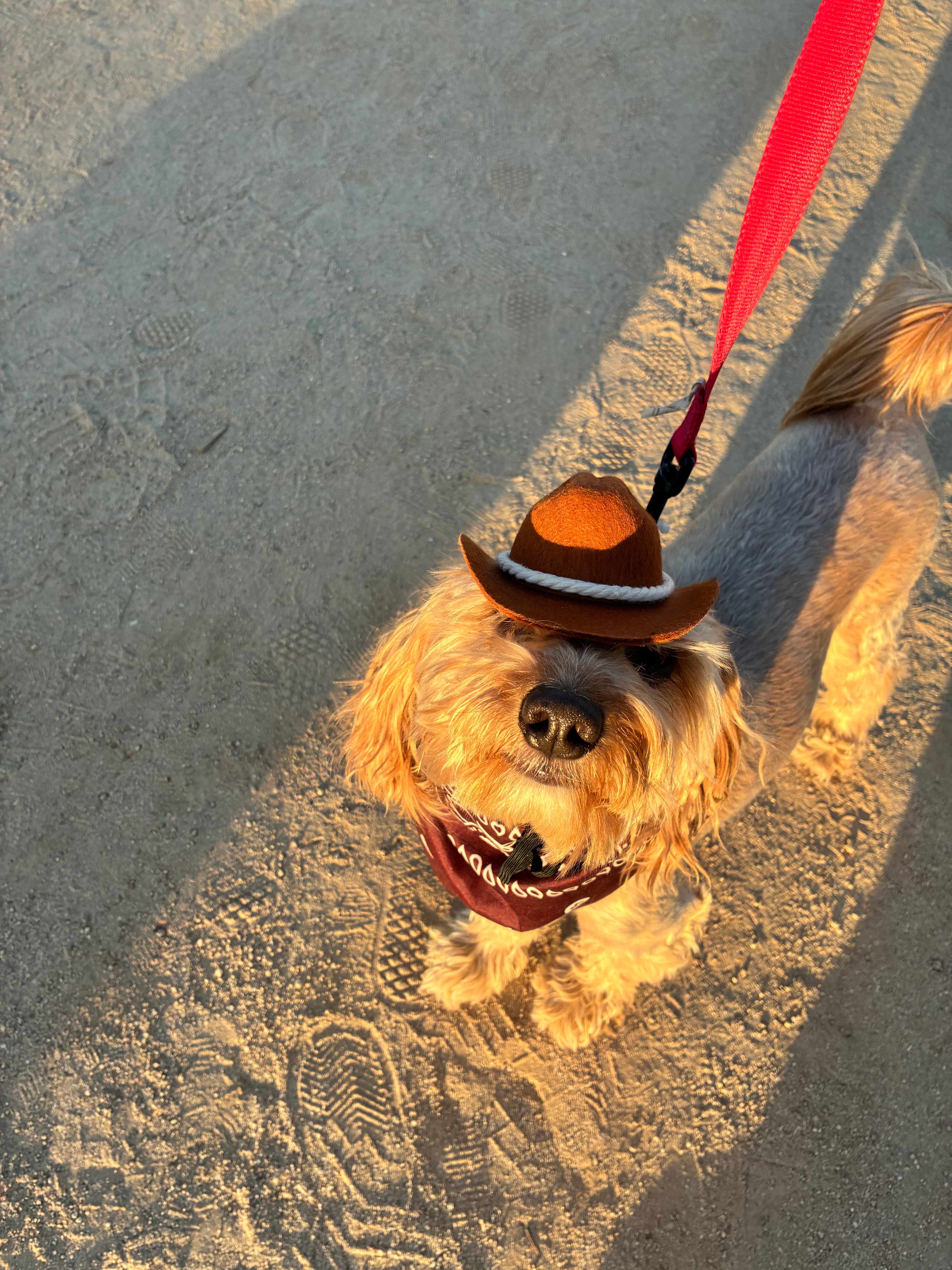 Pioneertown Corrals Camping