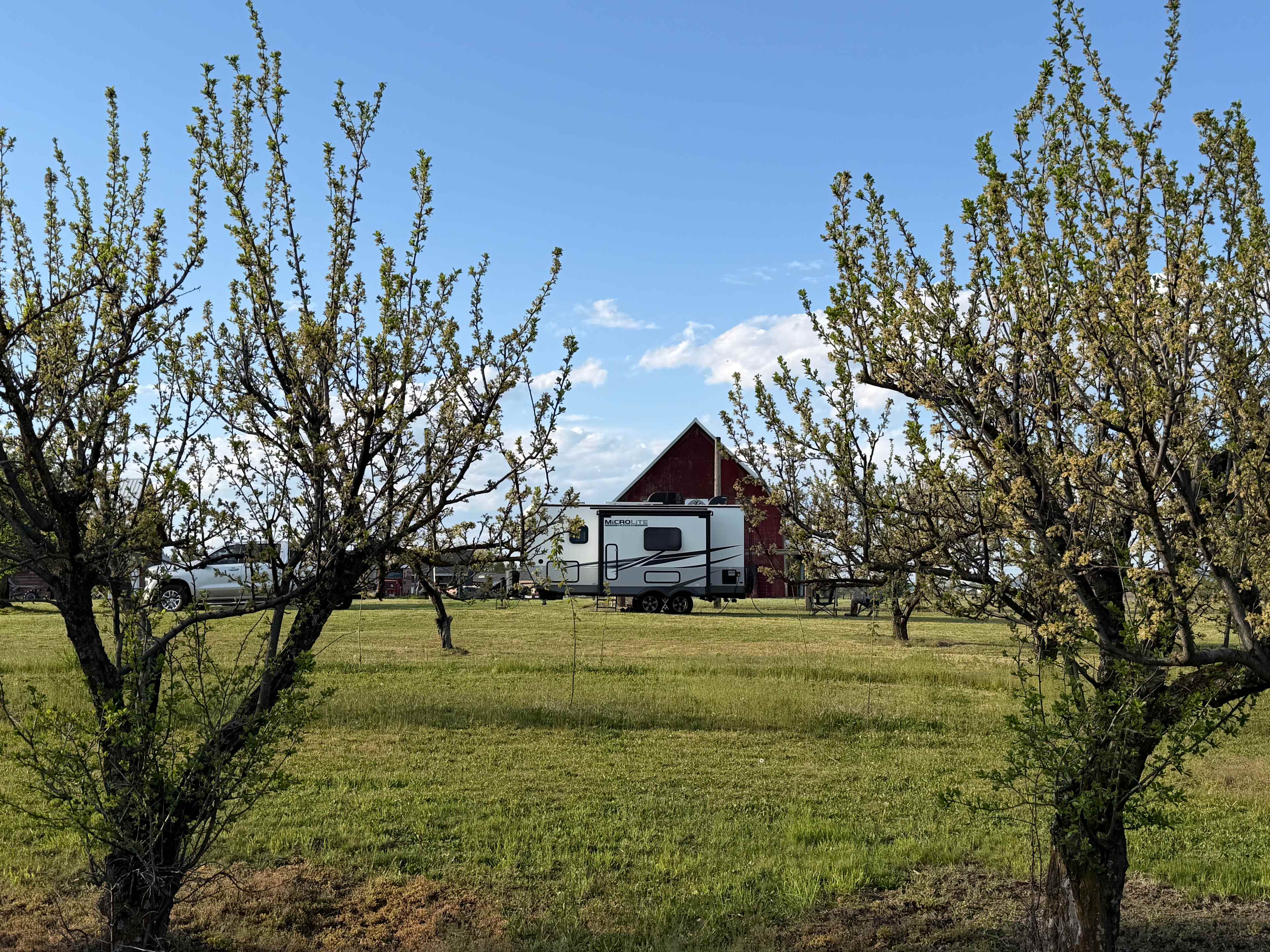Nàdair Orchard