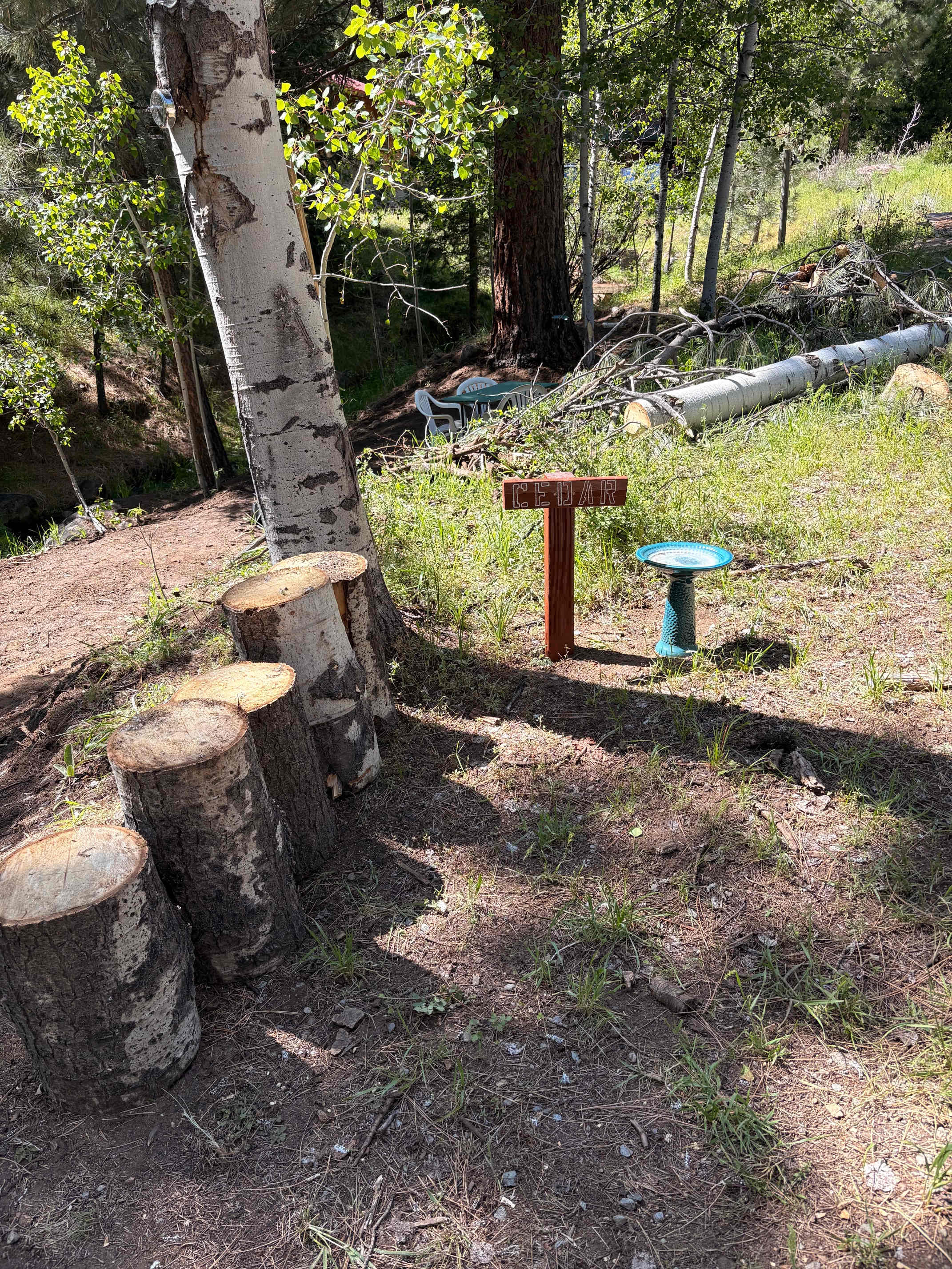 Picture of the site
