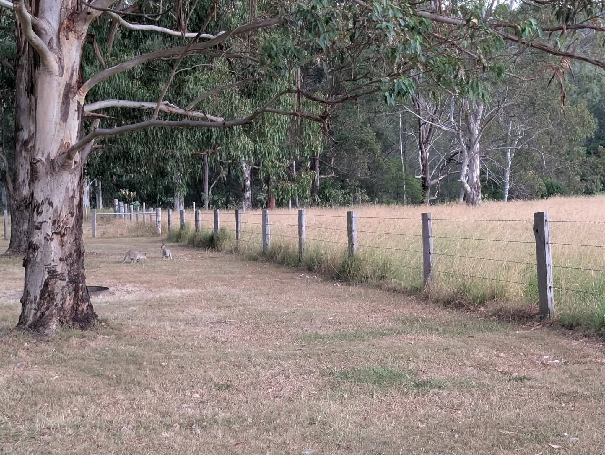 Mt Barney Lodge
