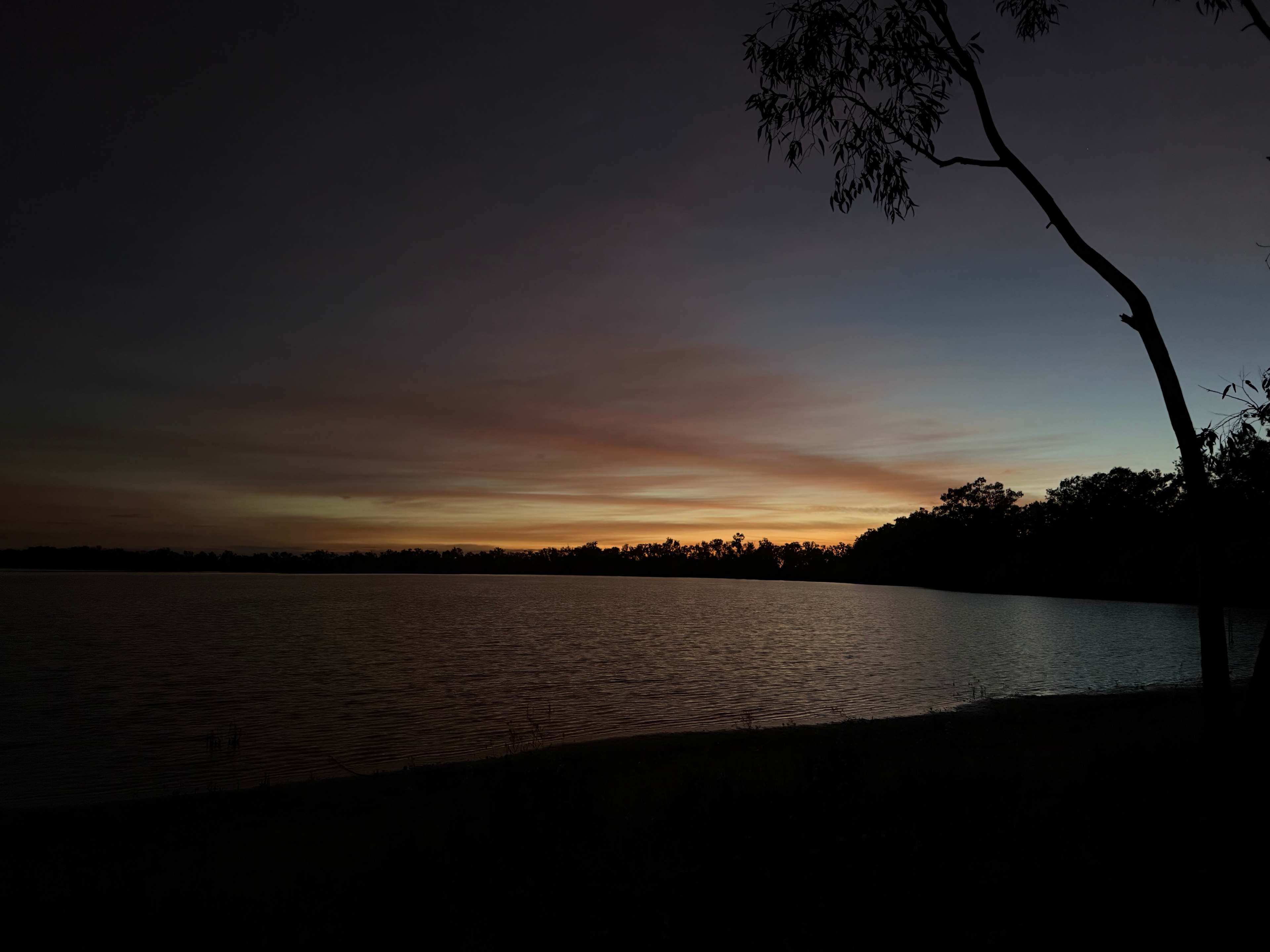 Curlew Camp - Birds & Fishing