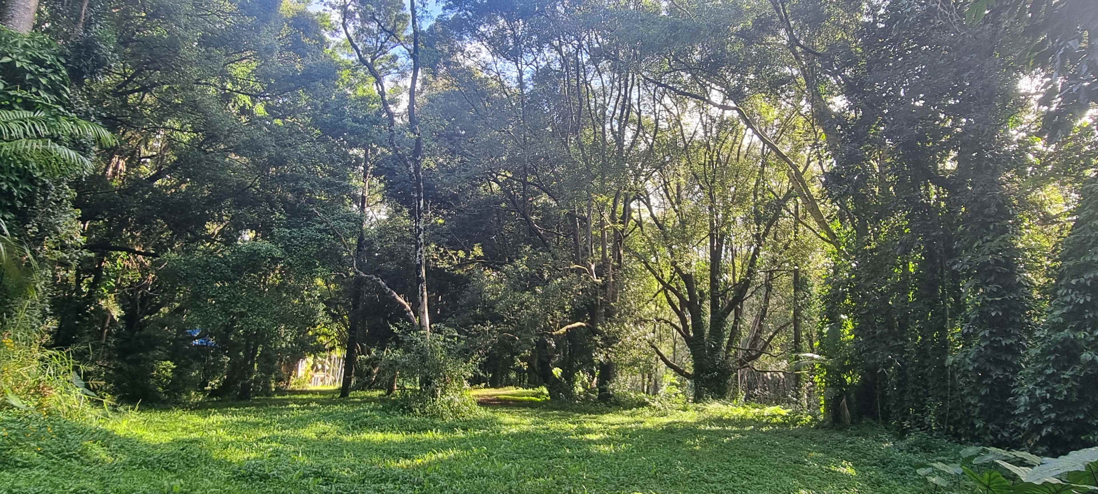 Tallebudgera Veg Sanctuary.