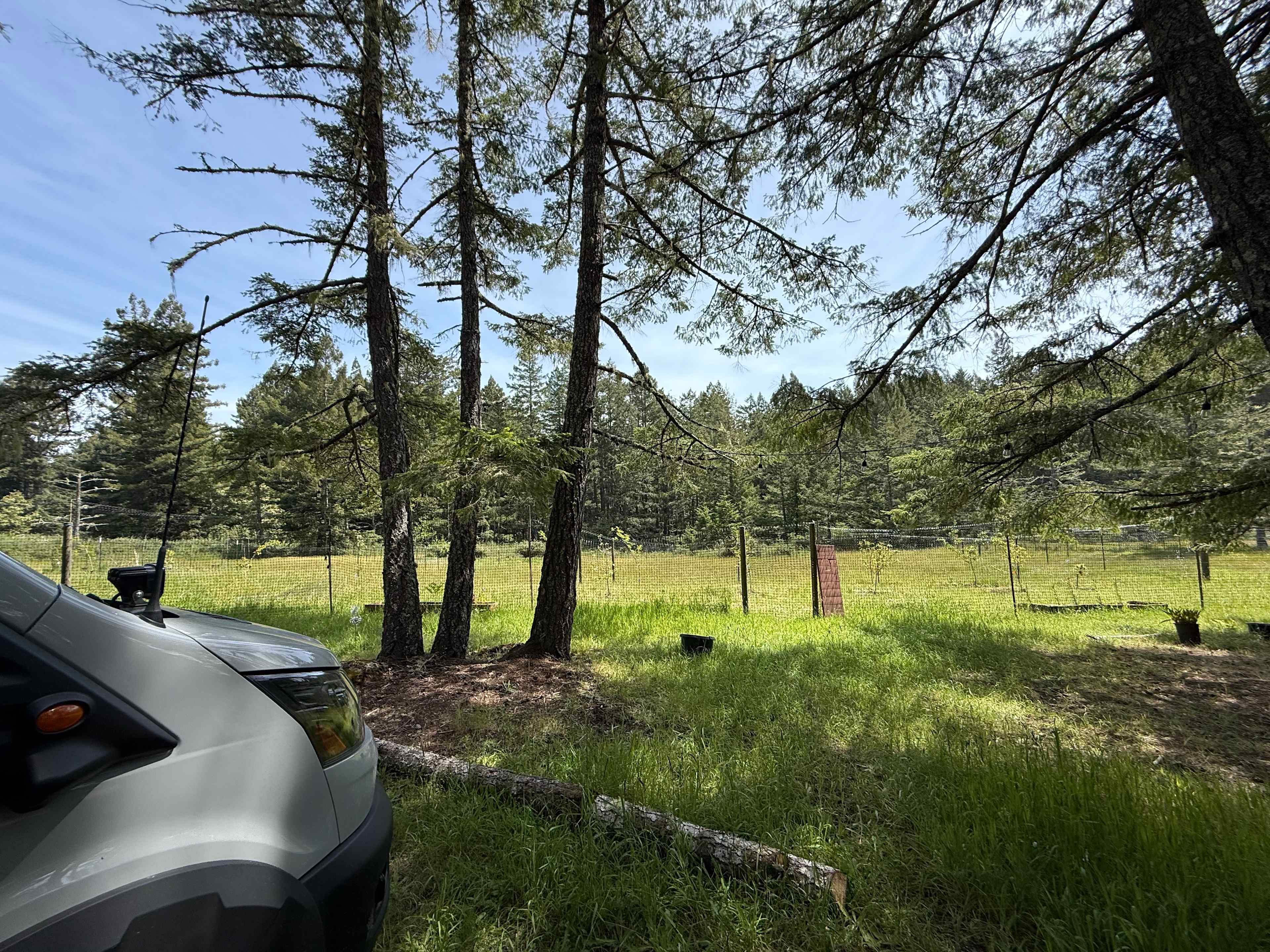 Larkspurs Hollow - Camp & Garden
