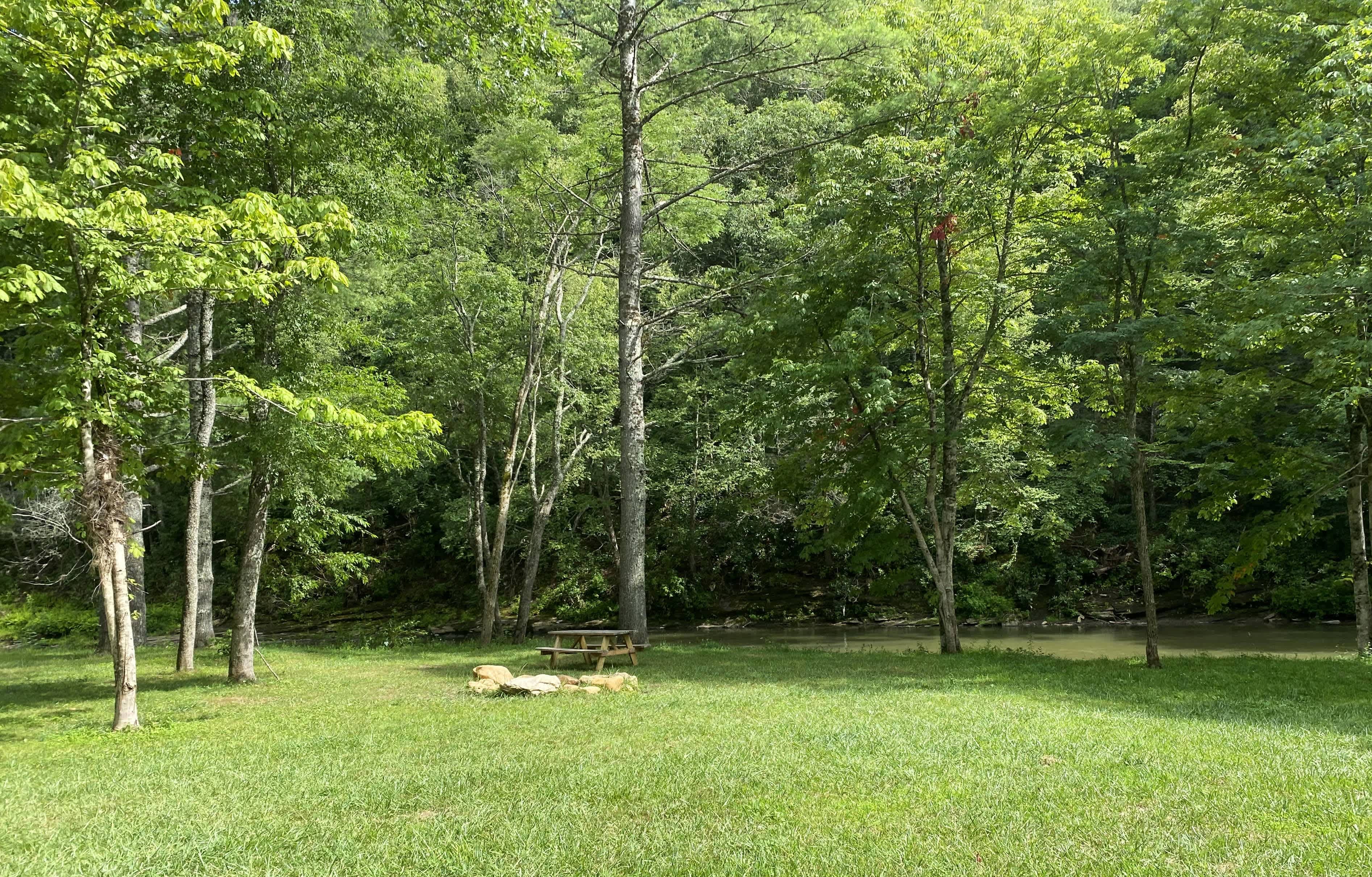 Picture of the site
