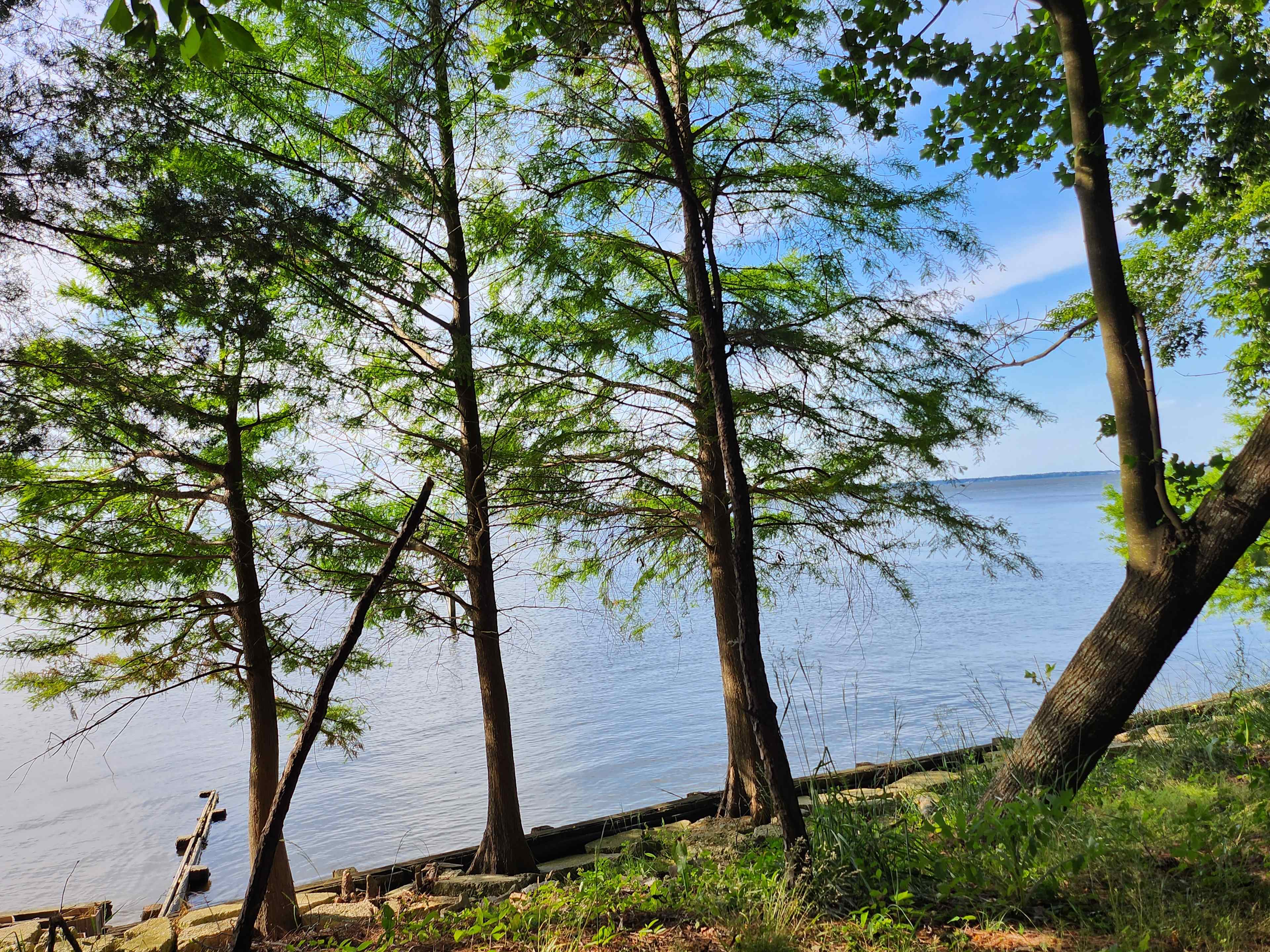 View from site 1