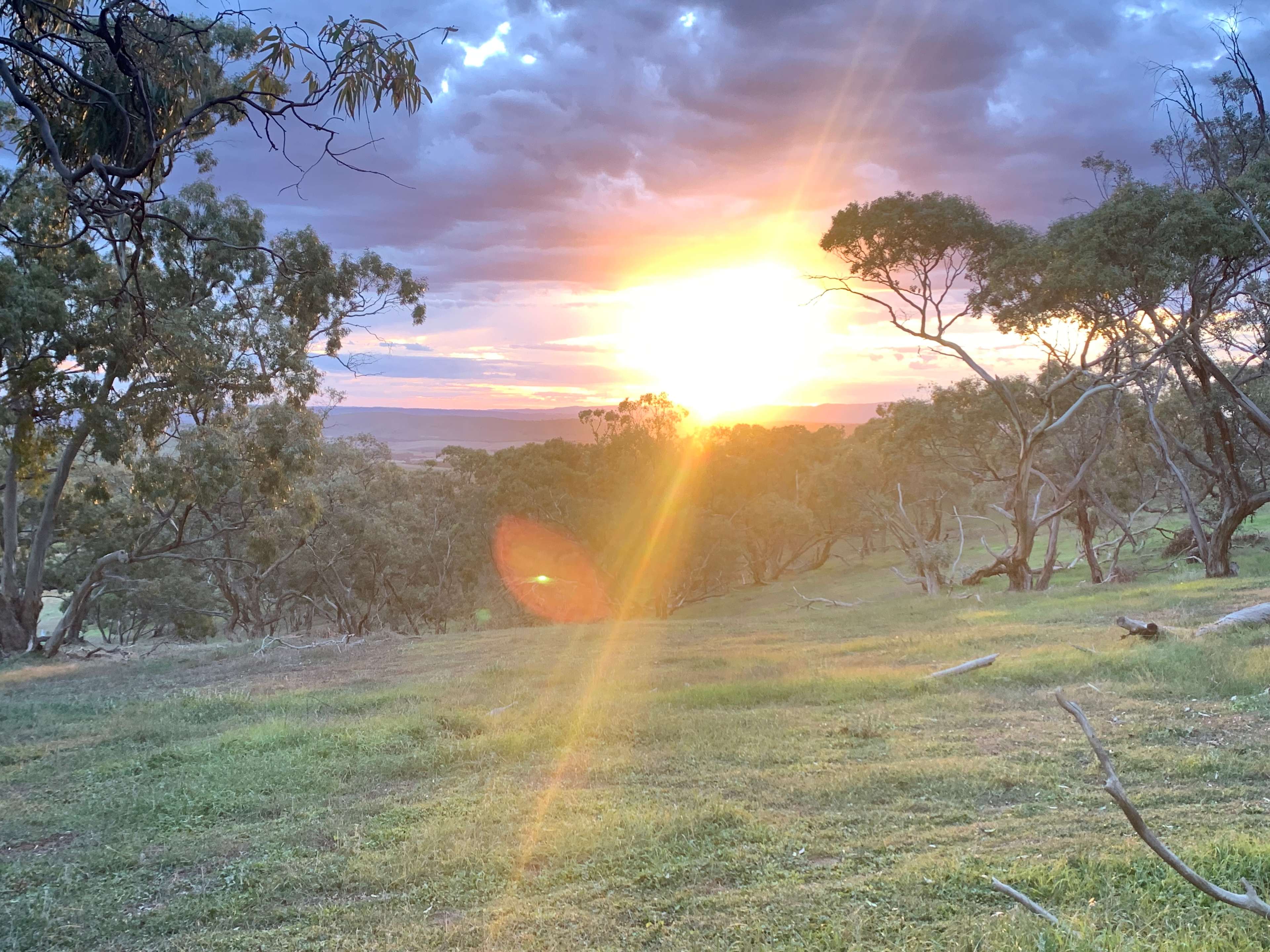 Sunset