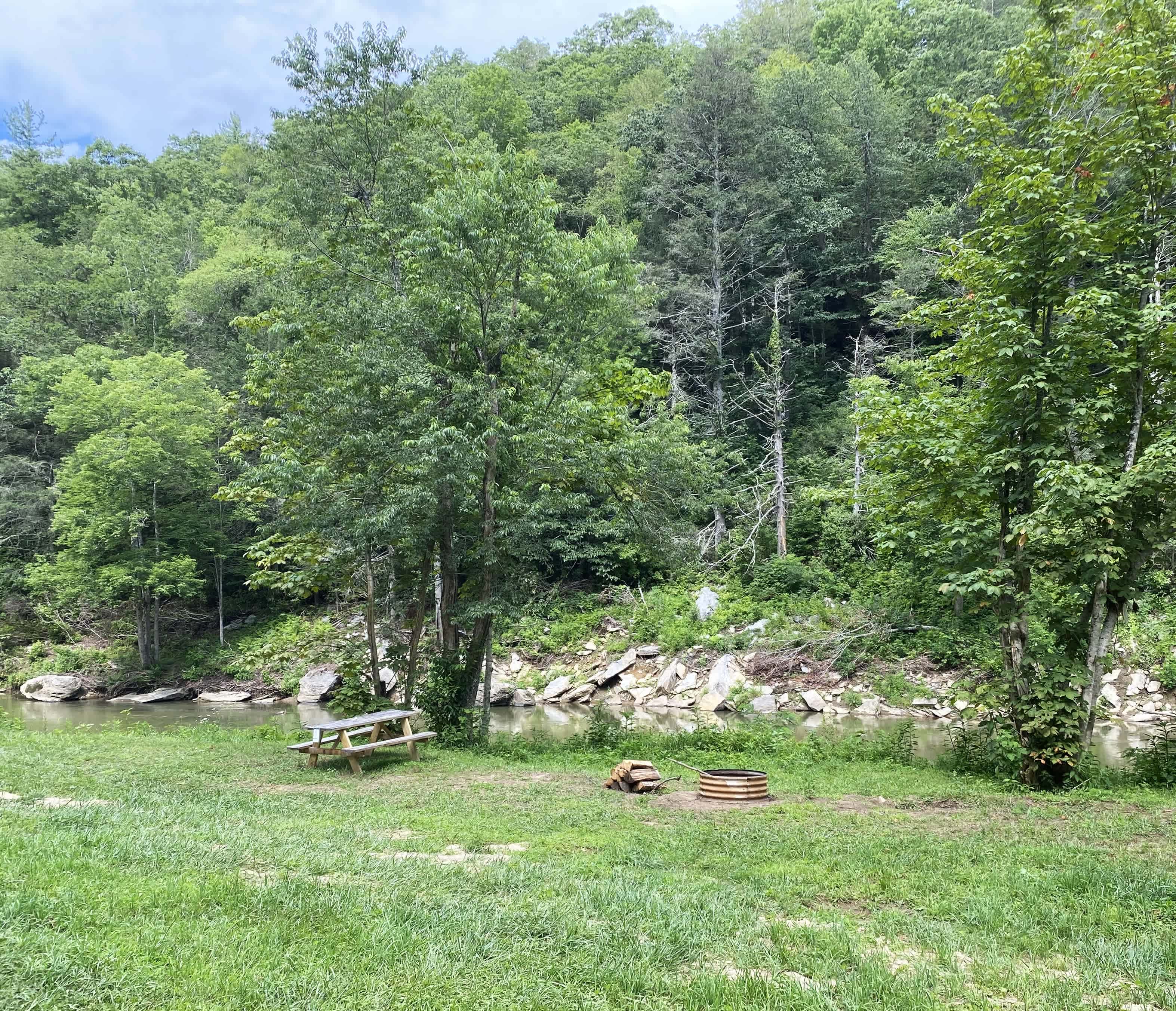 Picture of the site