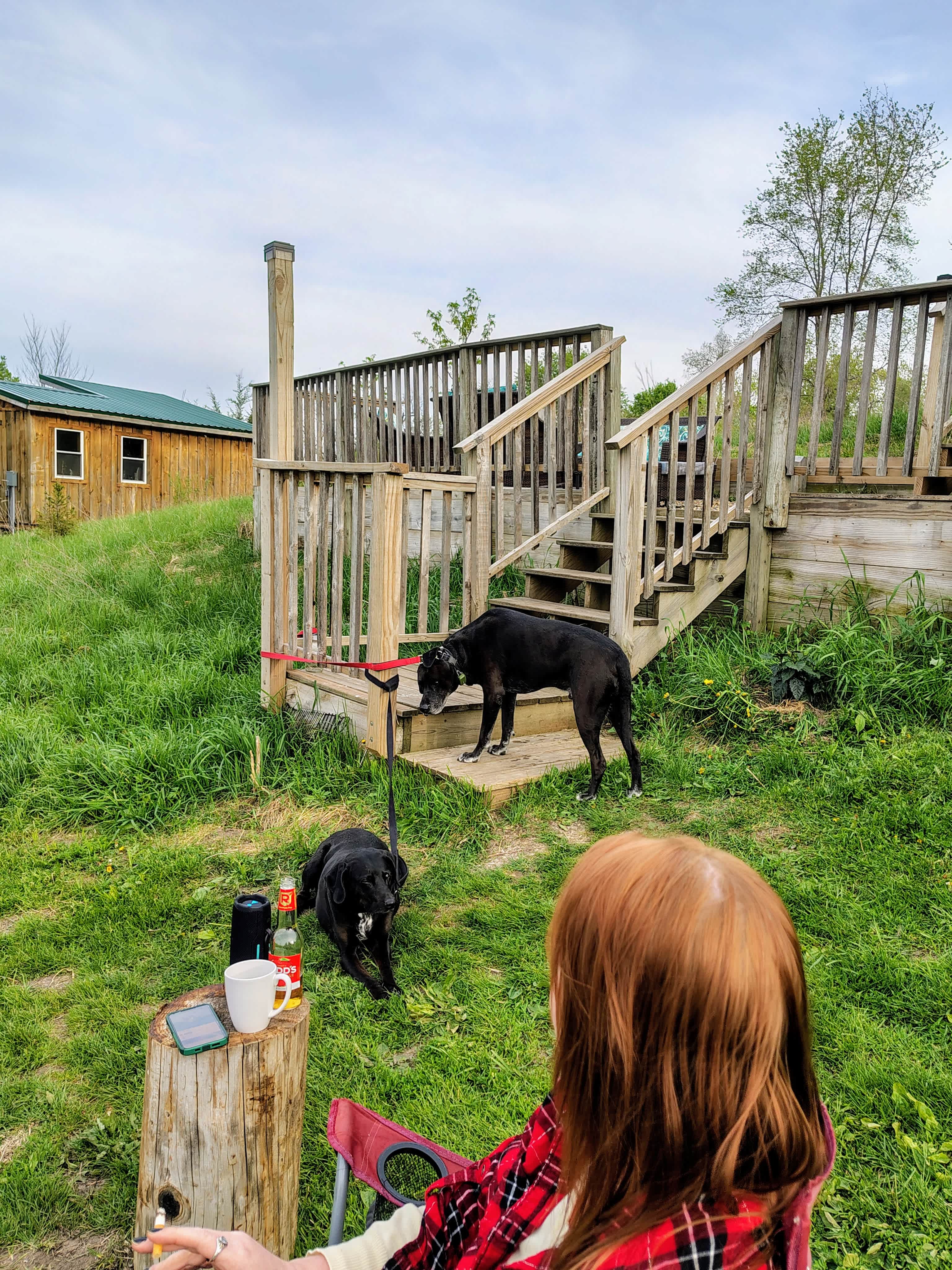 Windy Goat Acres