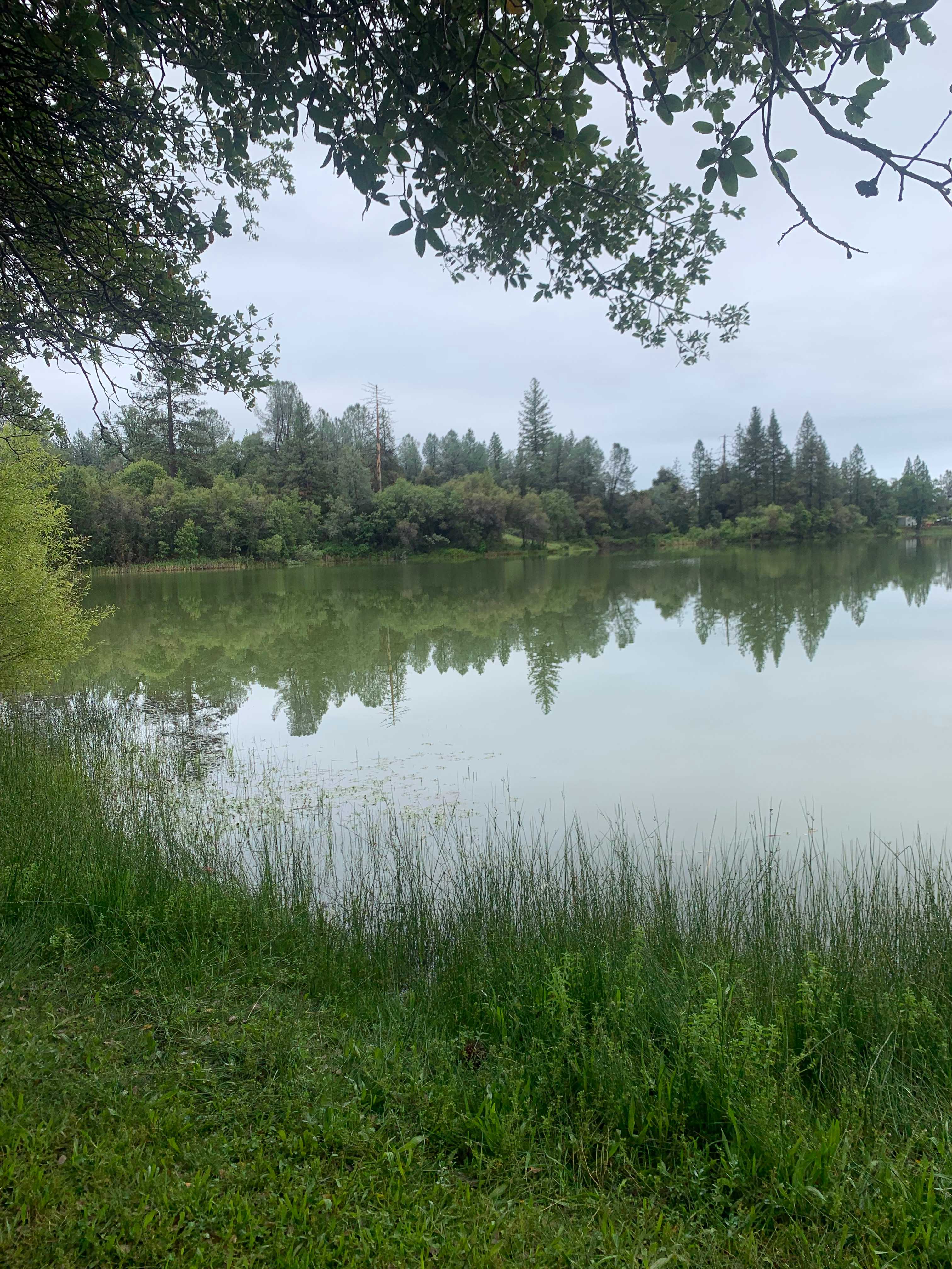 Finnon Lake Recreation Area