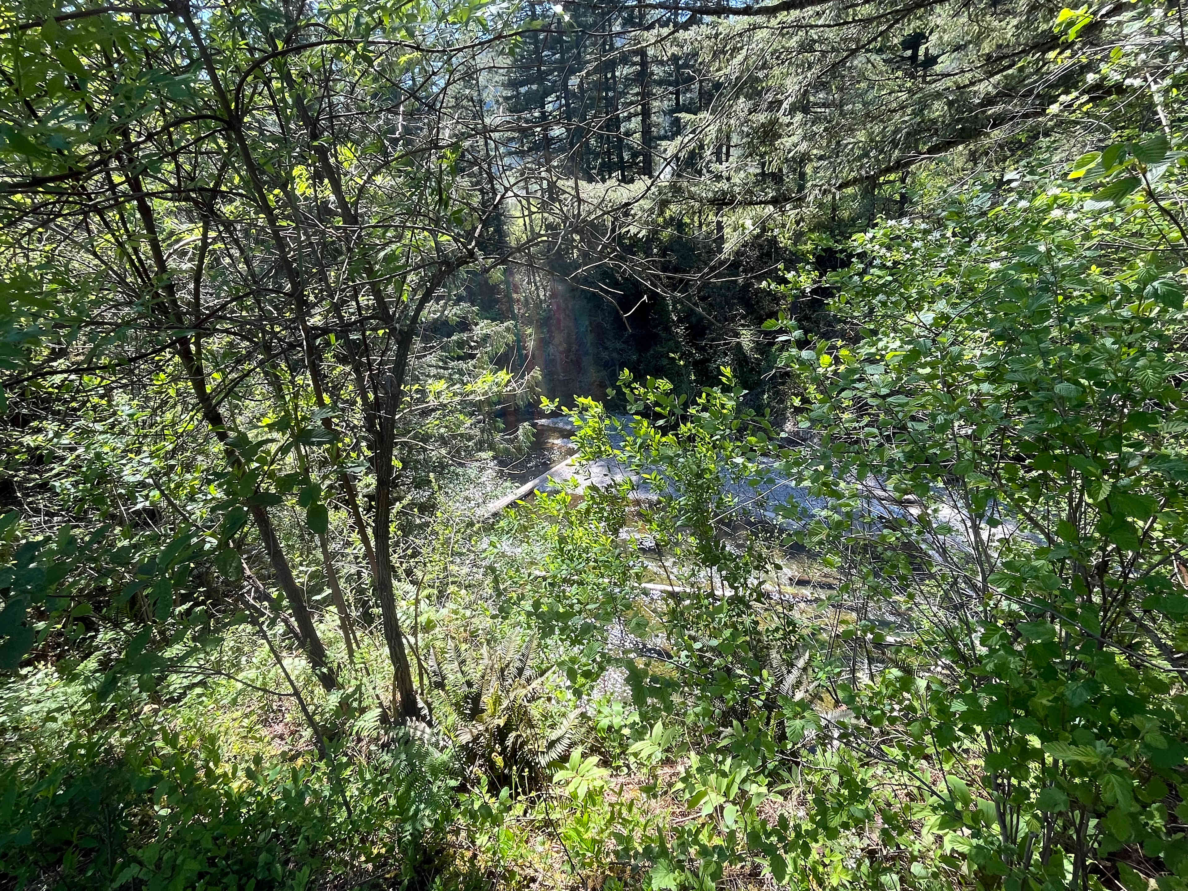 Naked Falls