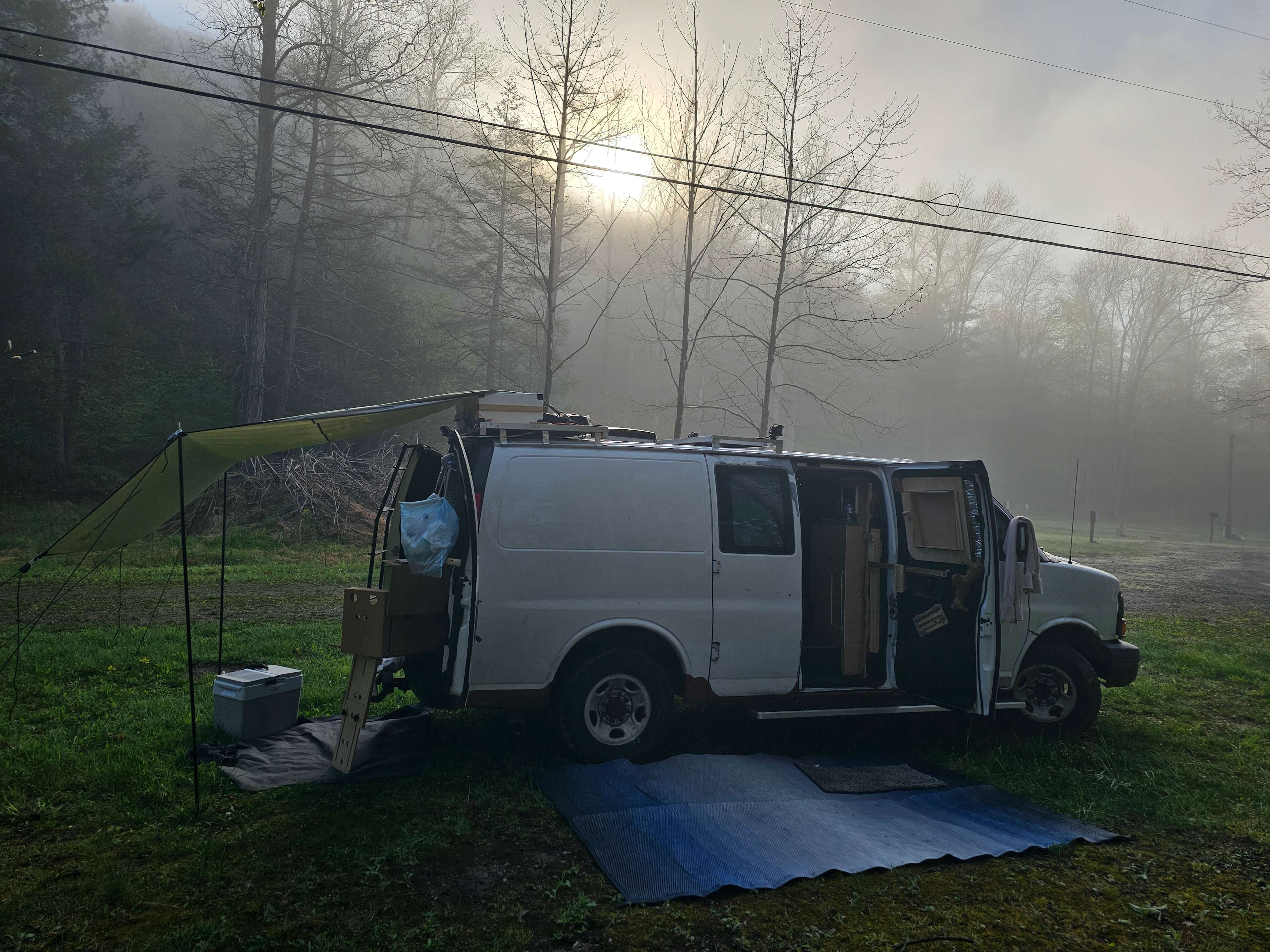 Misty cold morning in May