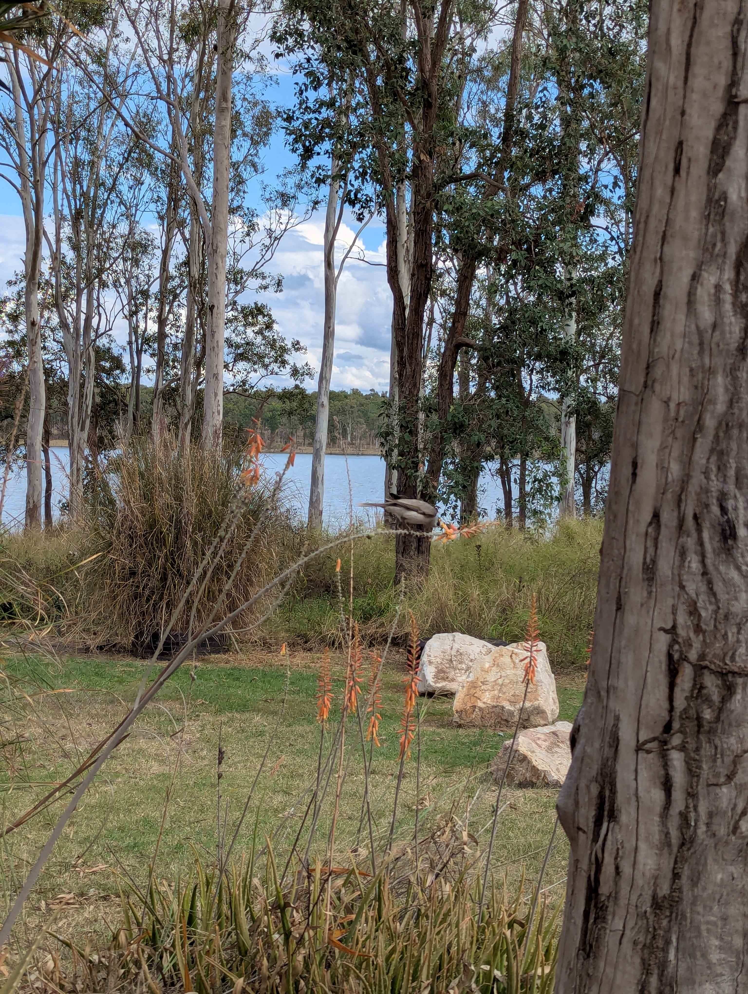 Atkinsons Edgewater - Hipcamp in Atkinsons Dam, Queensland