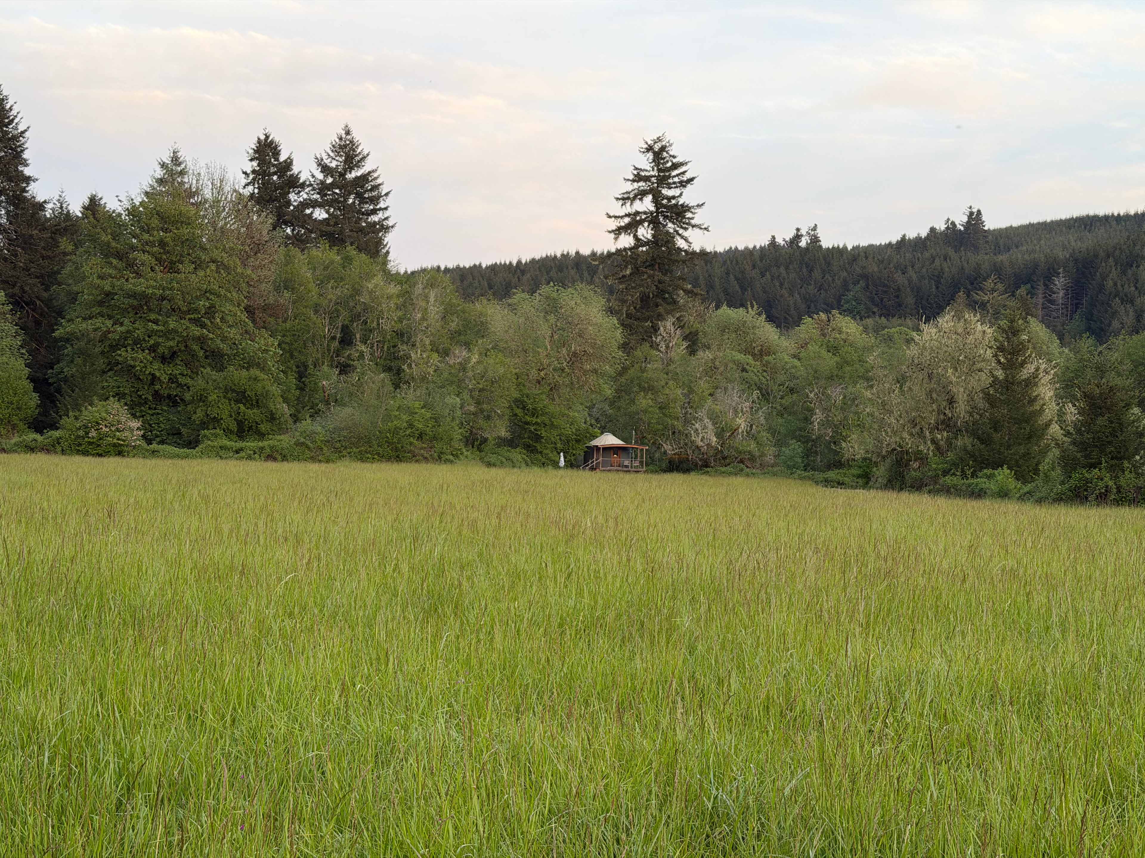 Squared Roots Farm Yurt