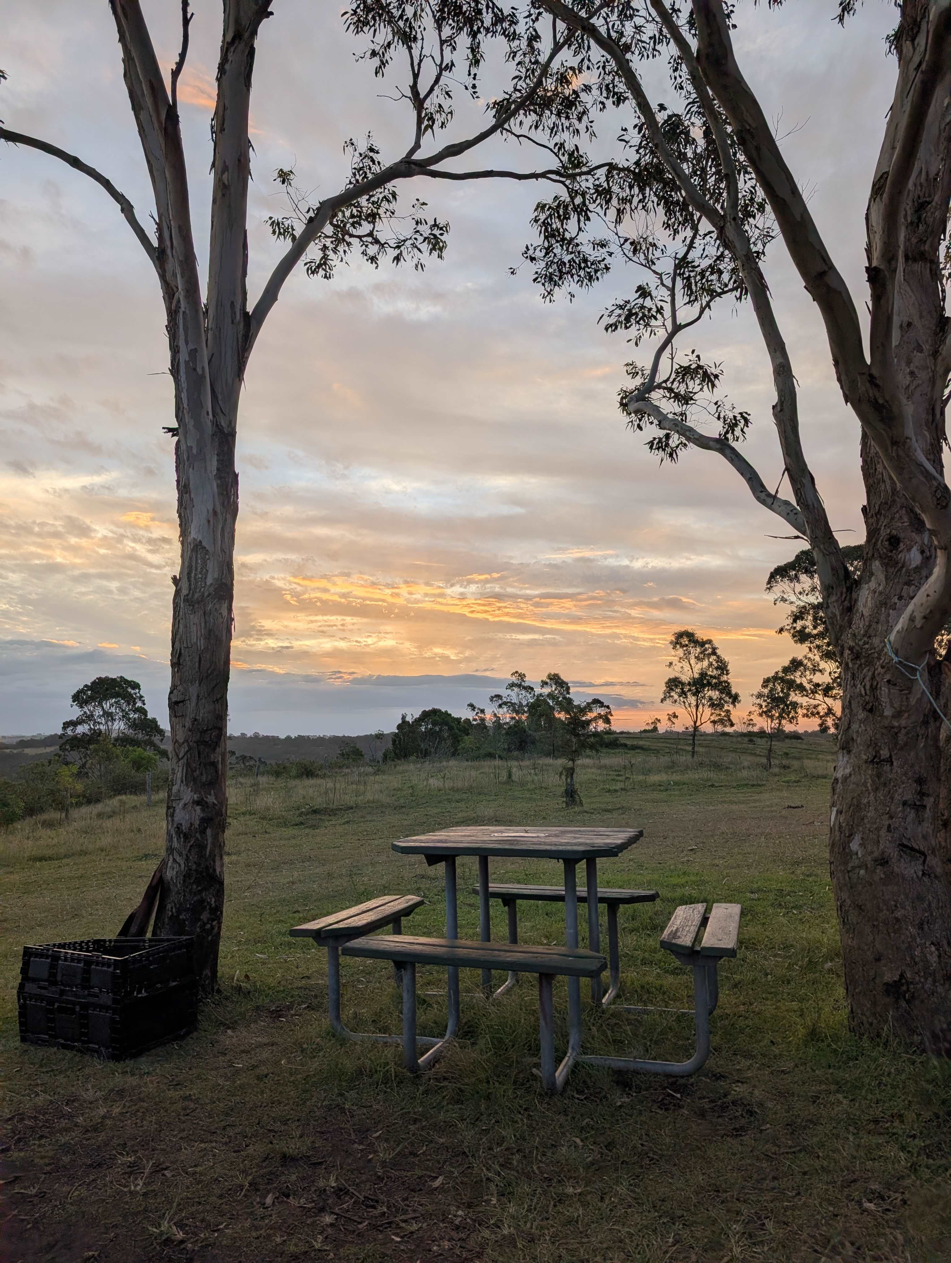 Hilltop Farm, Camping and Glamping.
