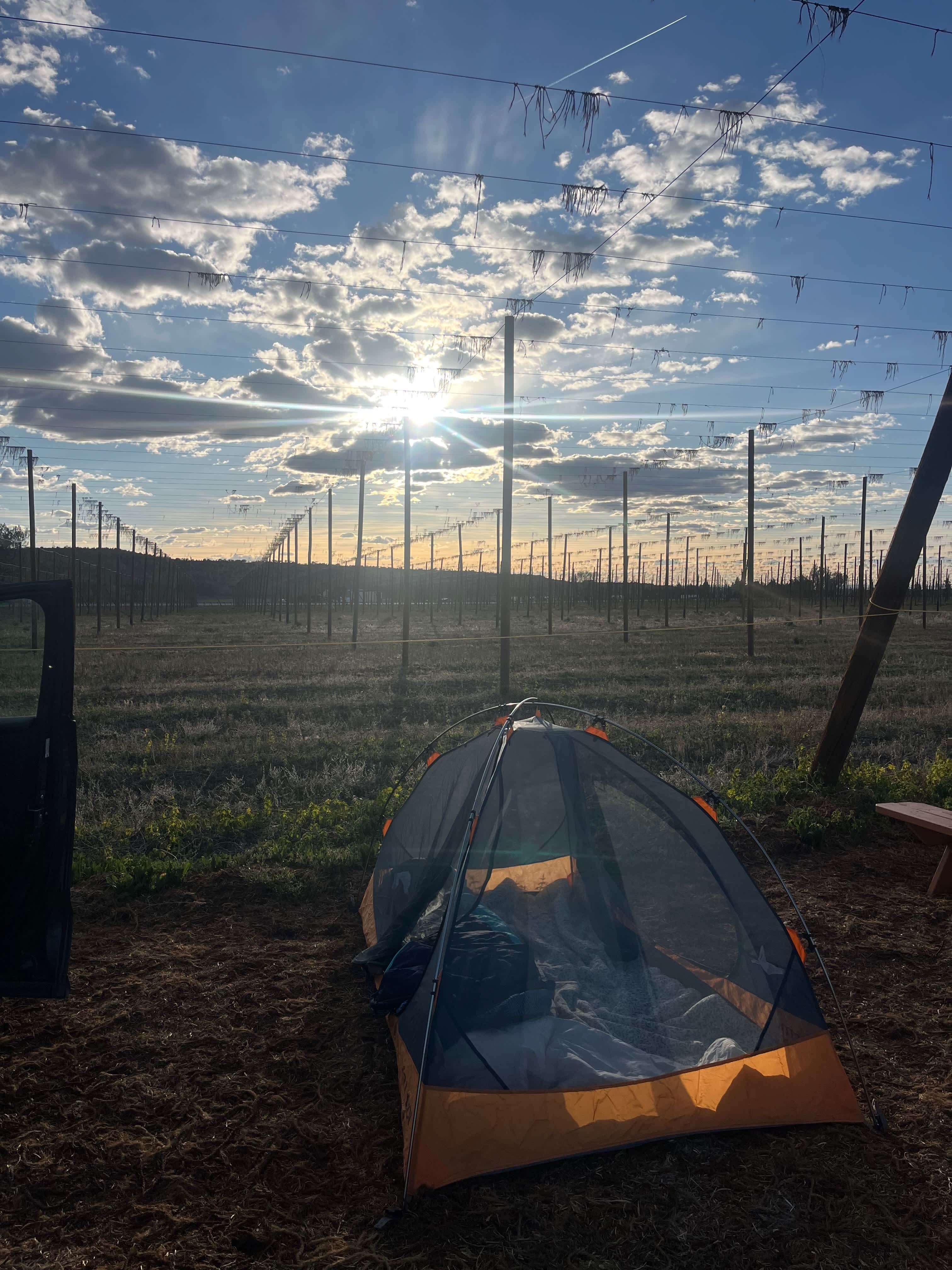 The Hop Yard Hideaway
