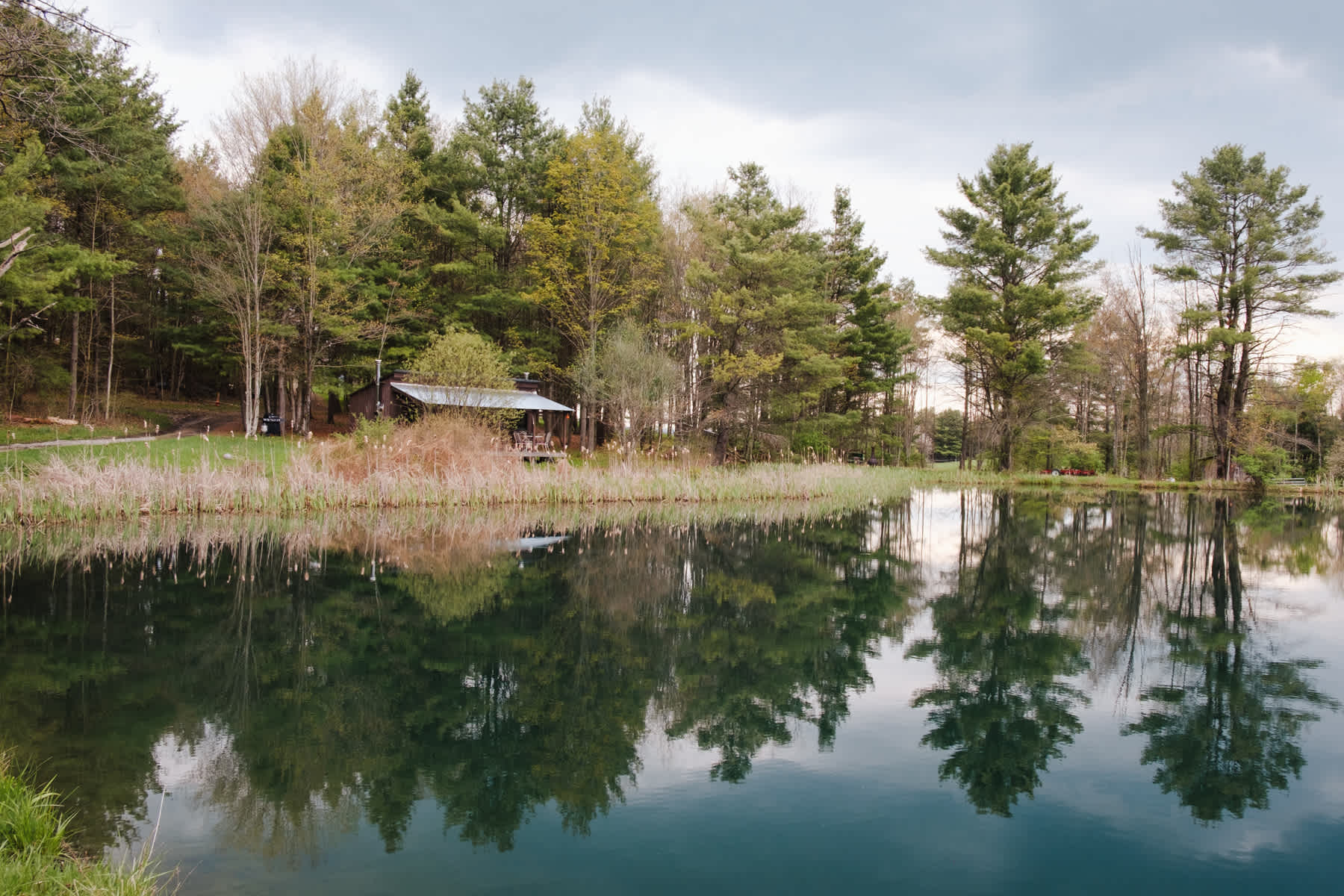 So cool having a pond all to yourself! 