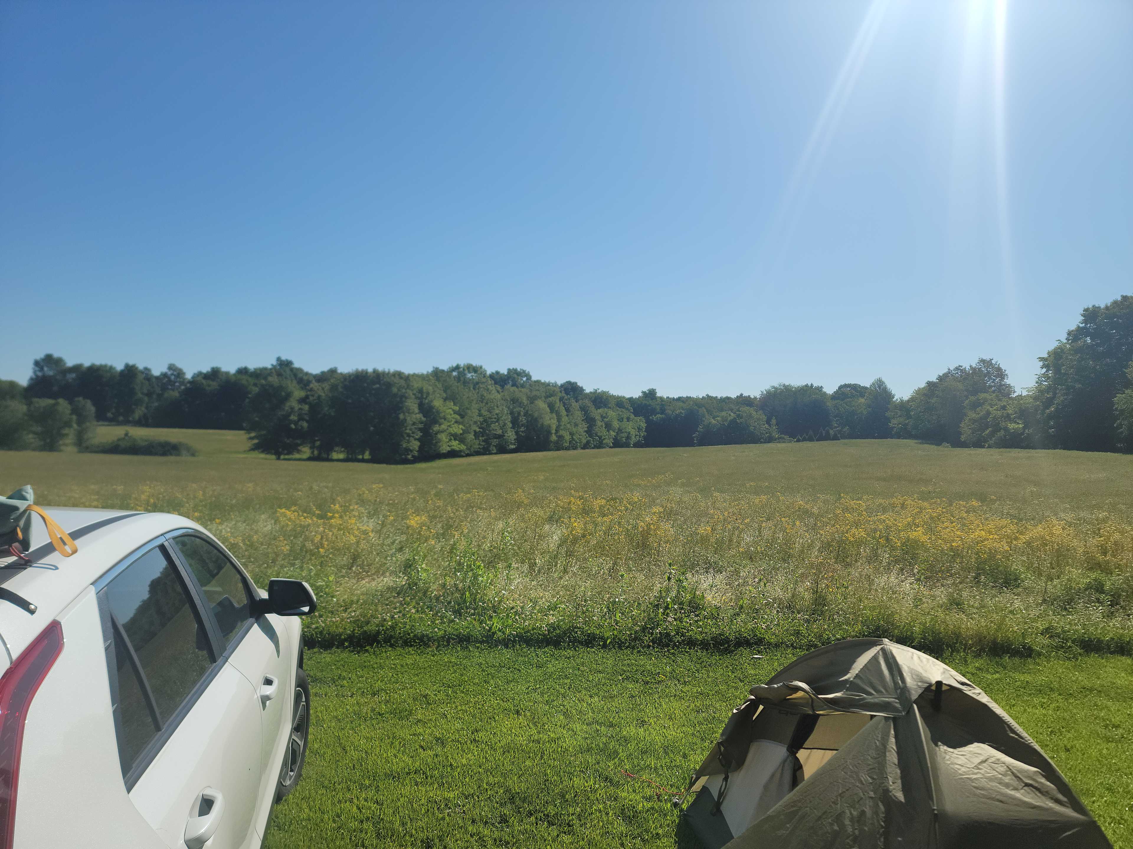 My view
