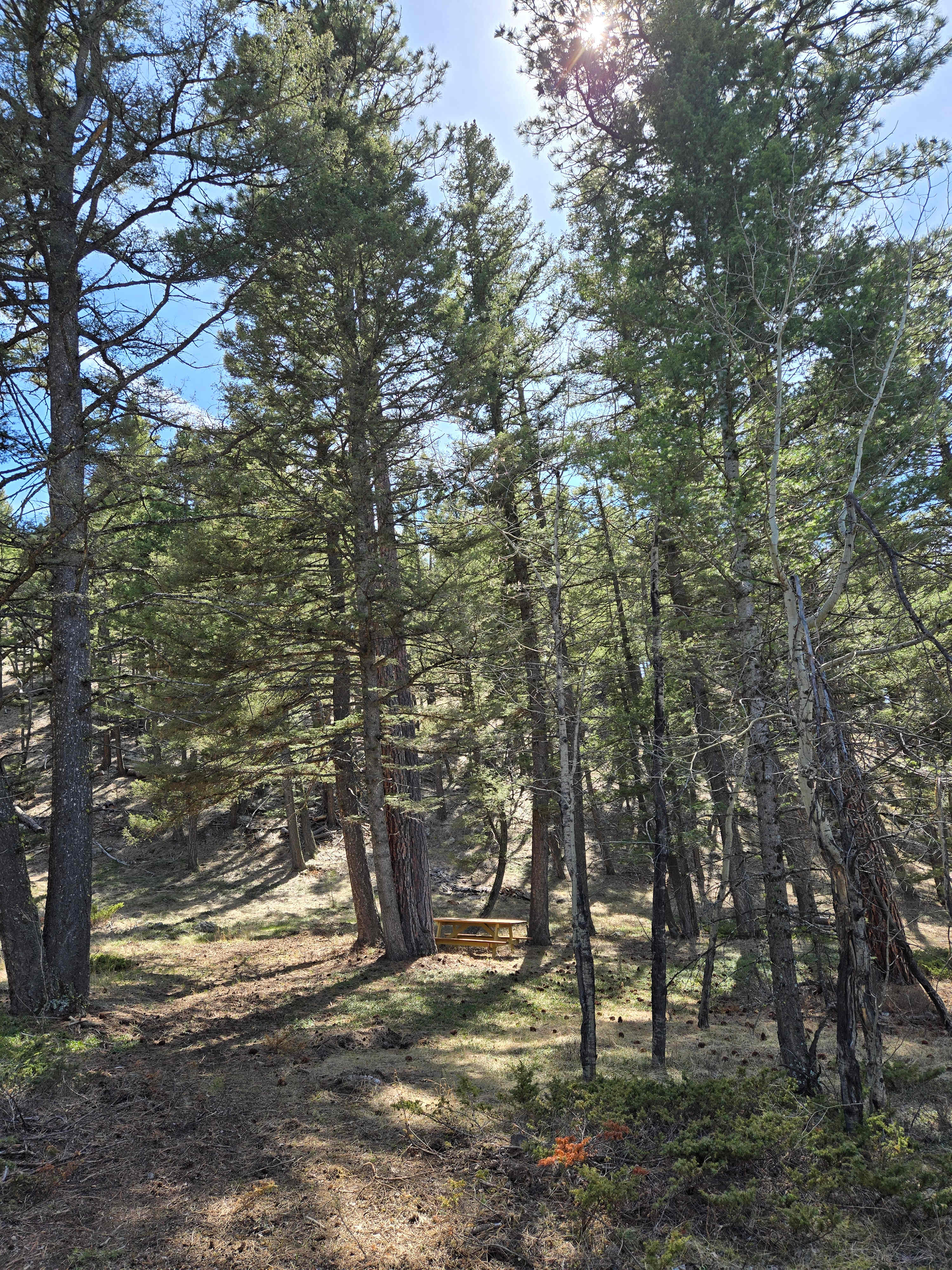 Mountain Biker's Getaway