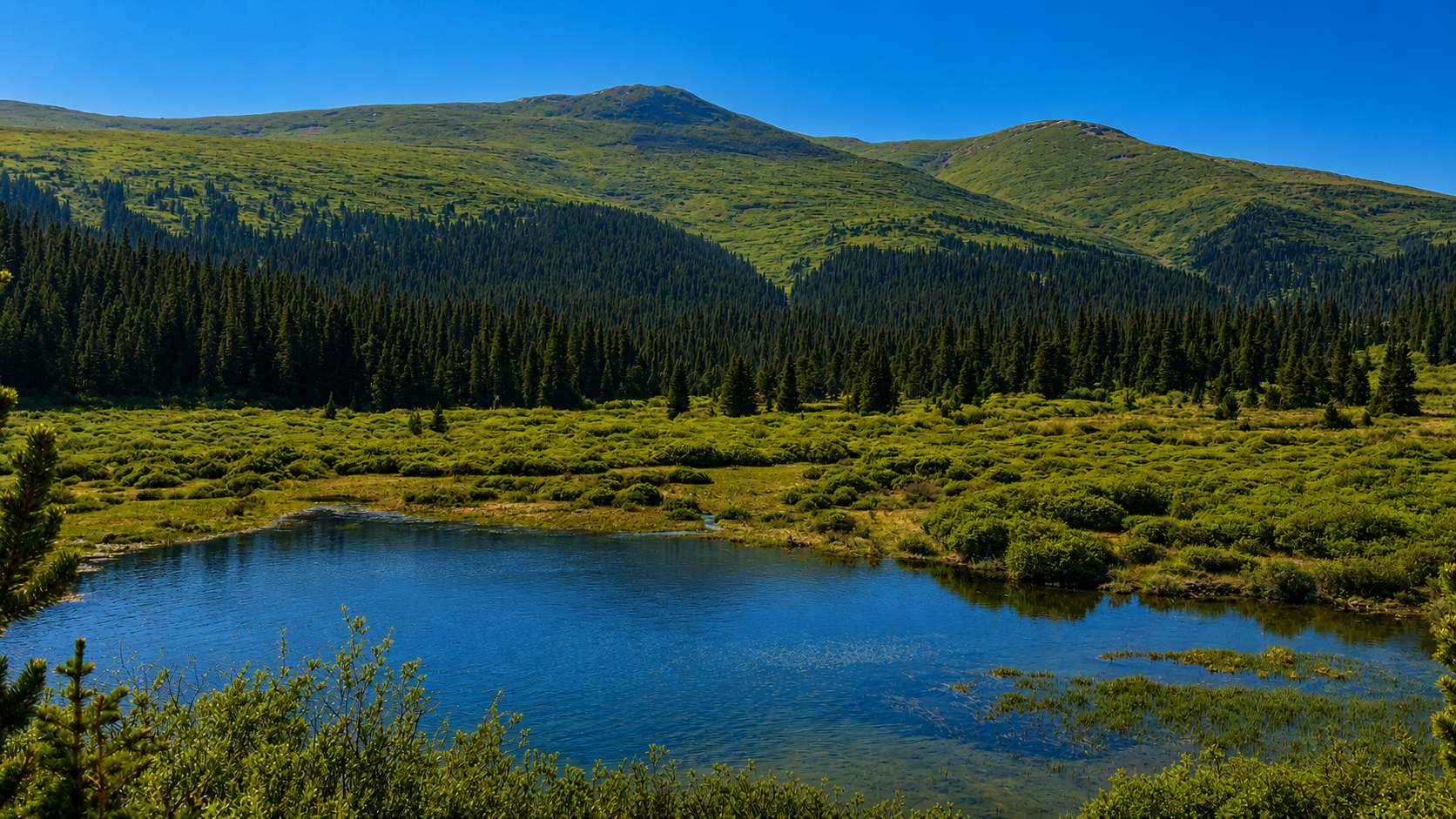 Mountain Meadow Glamp Camp