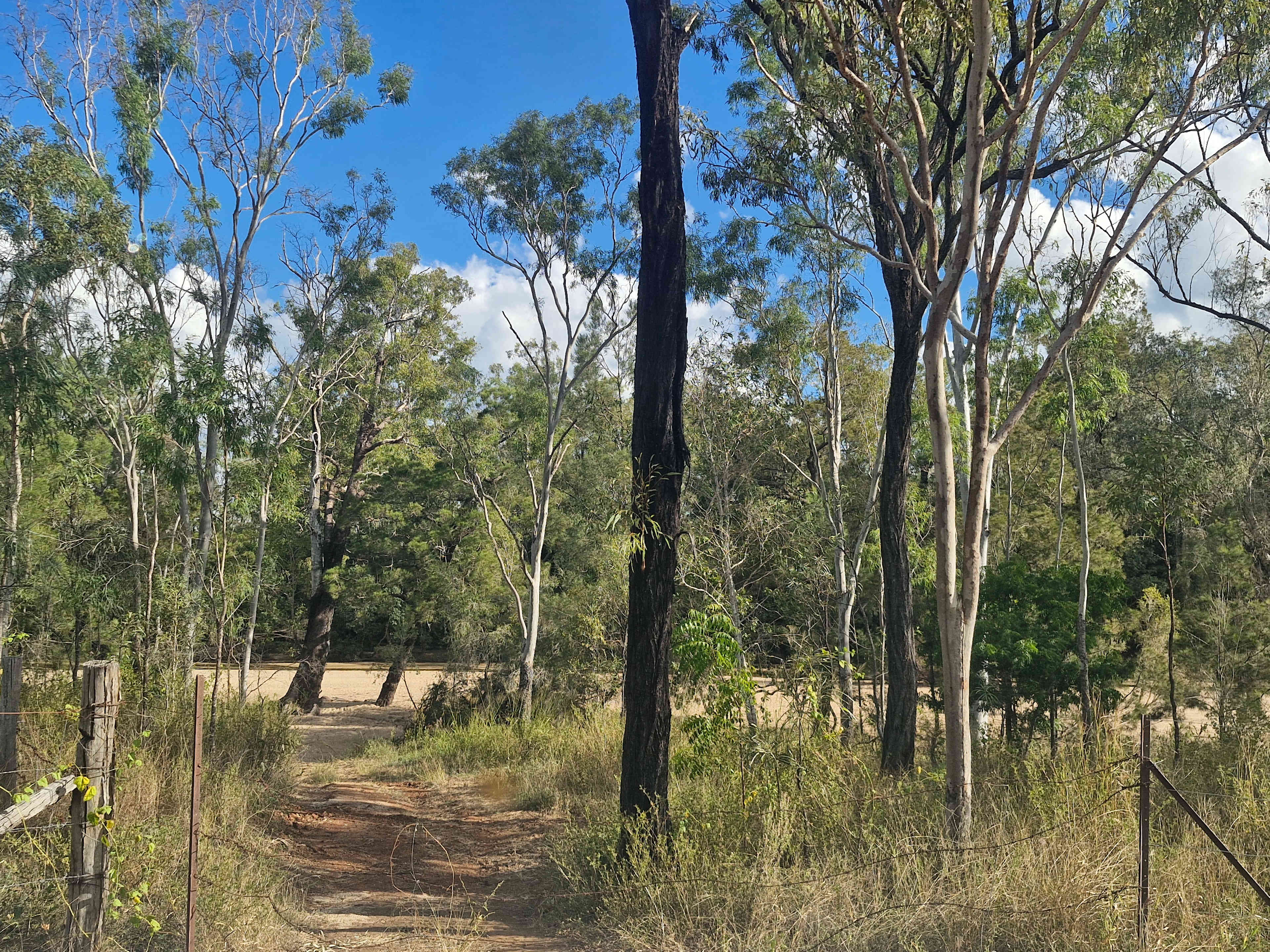 Normanby Rd Nature Bush Camp