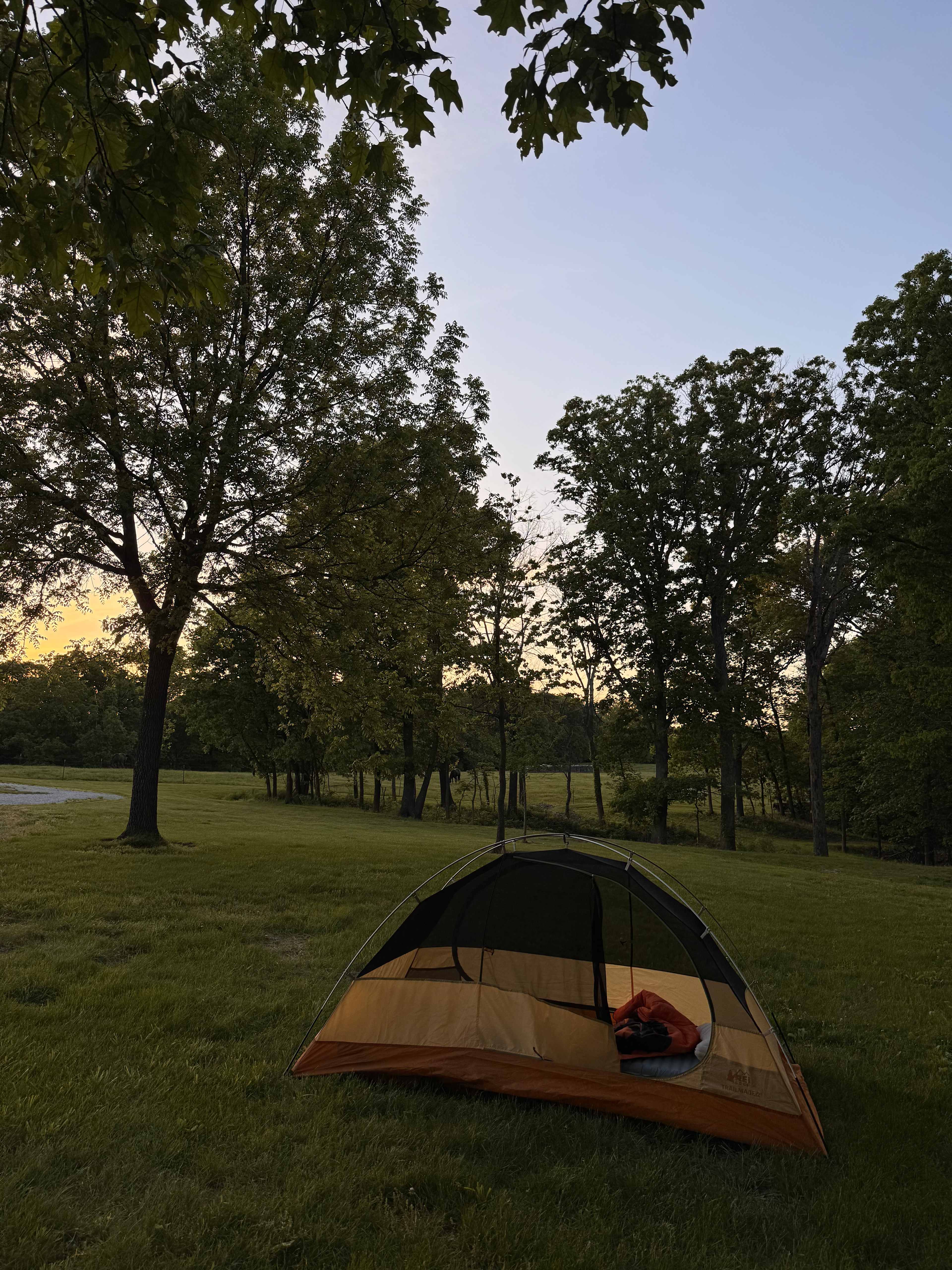 Selby Farm Camping