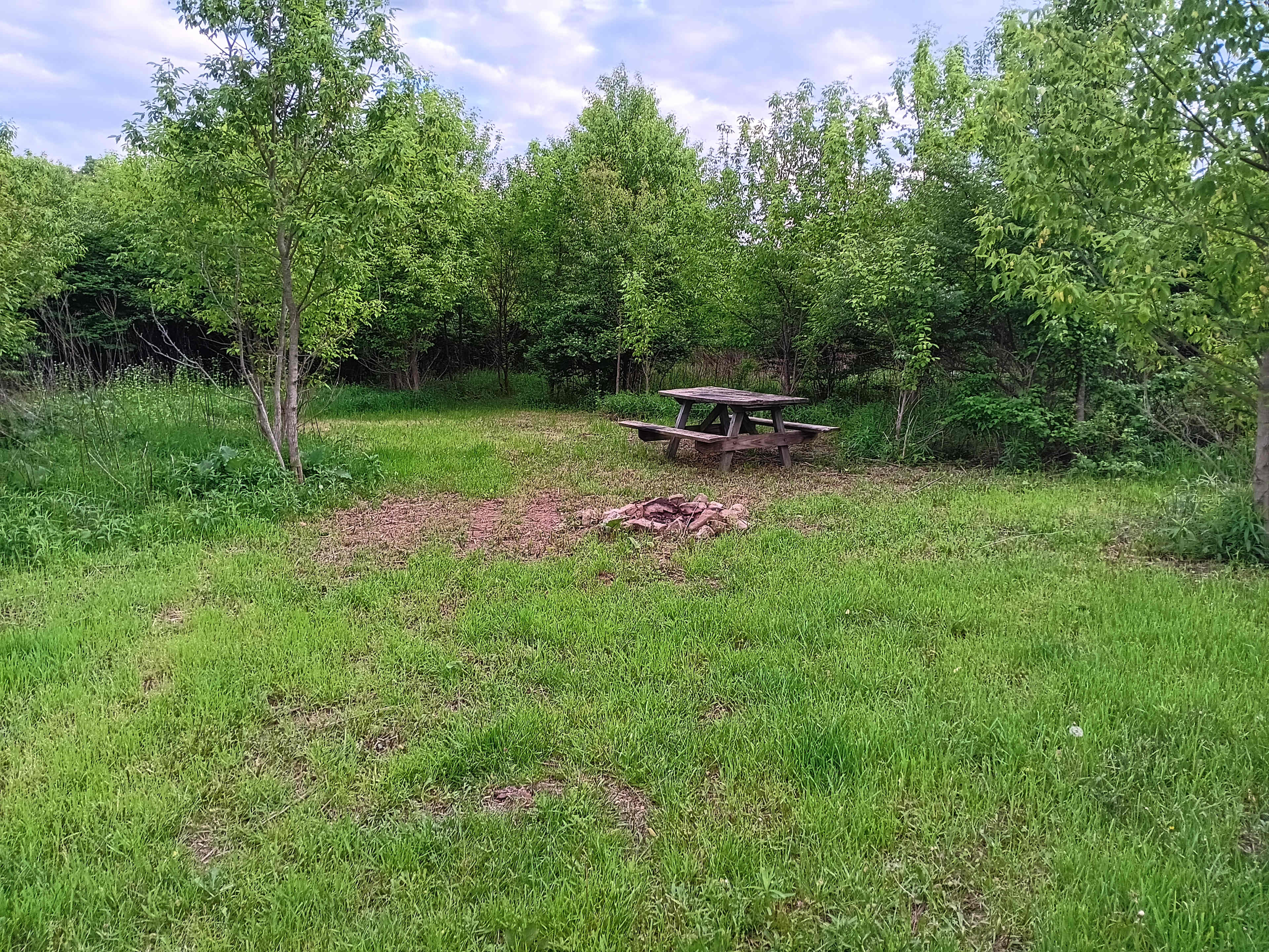 Picture of the site