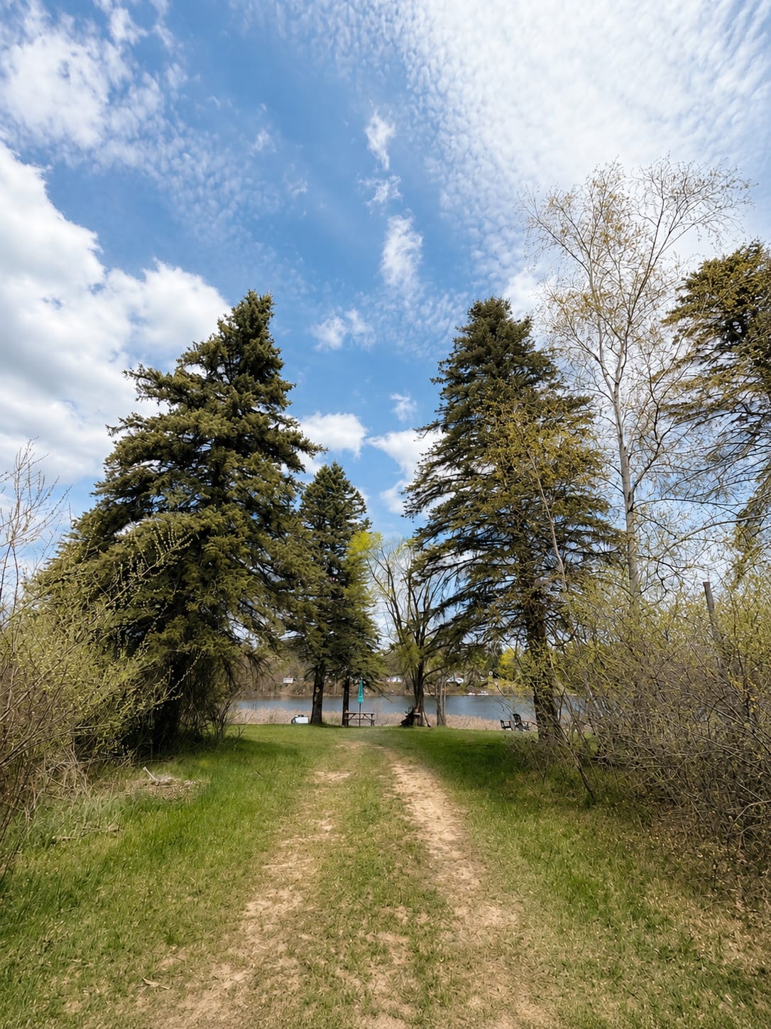 Starlight Lake Retreat - Hipcamp in Barryton, Michigan