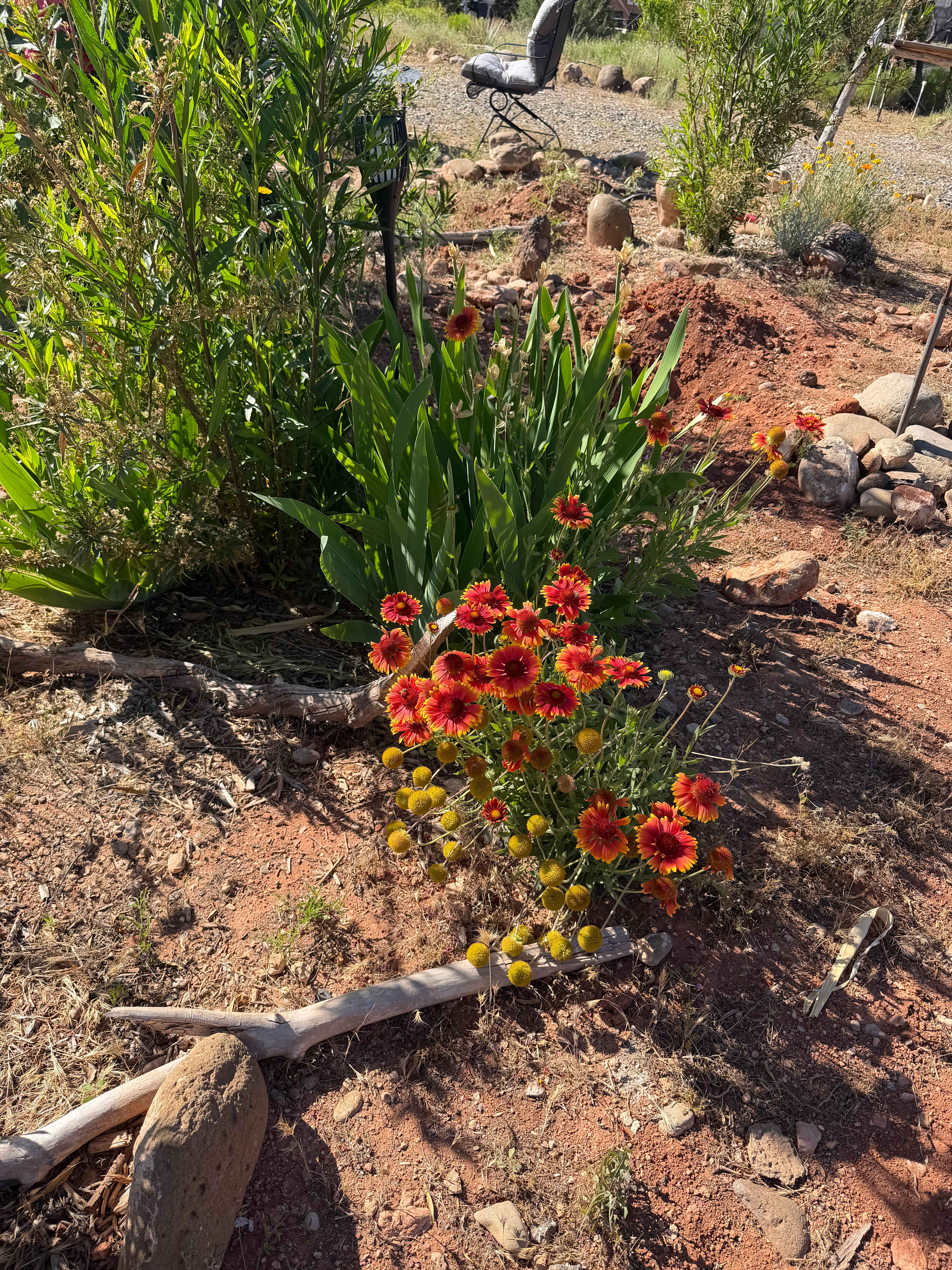 Sacred Springs-Private creek access