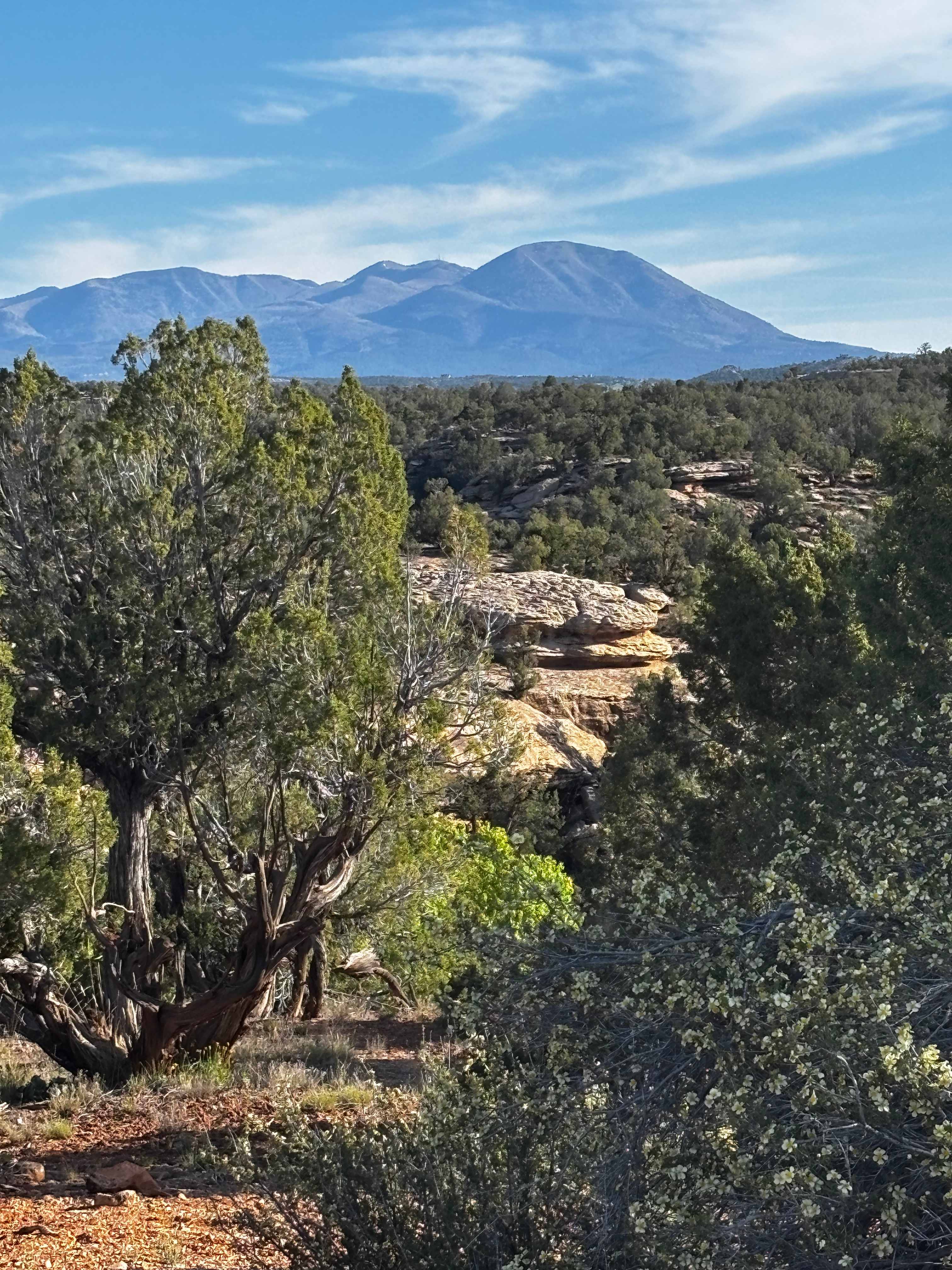 View along Ruins road on the way back from the kivas
