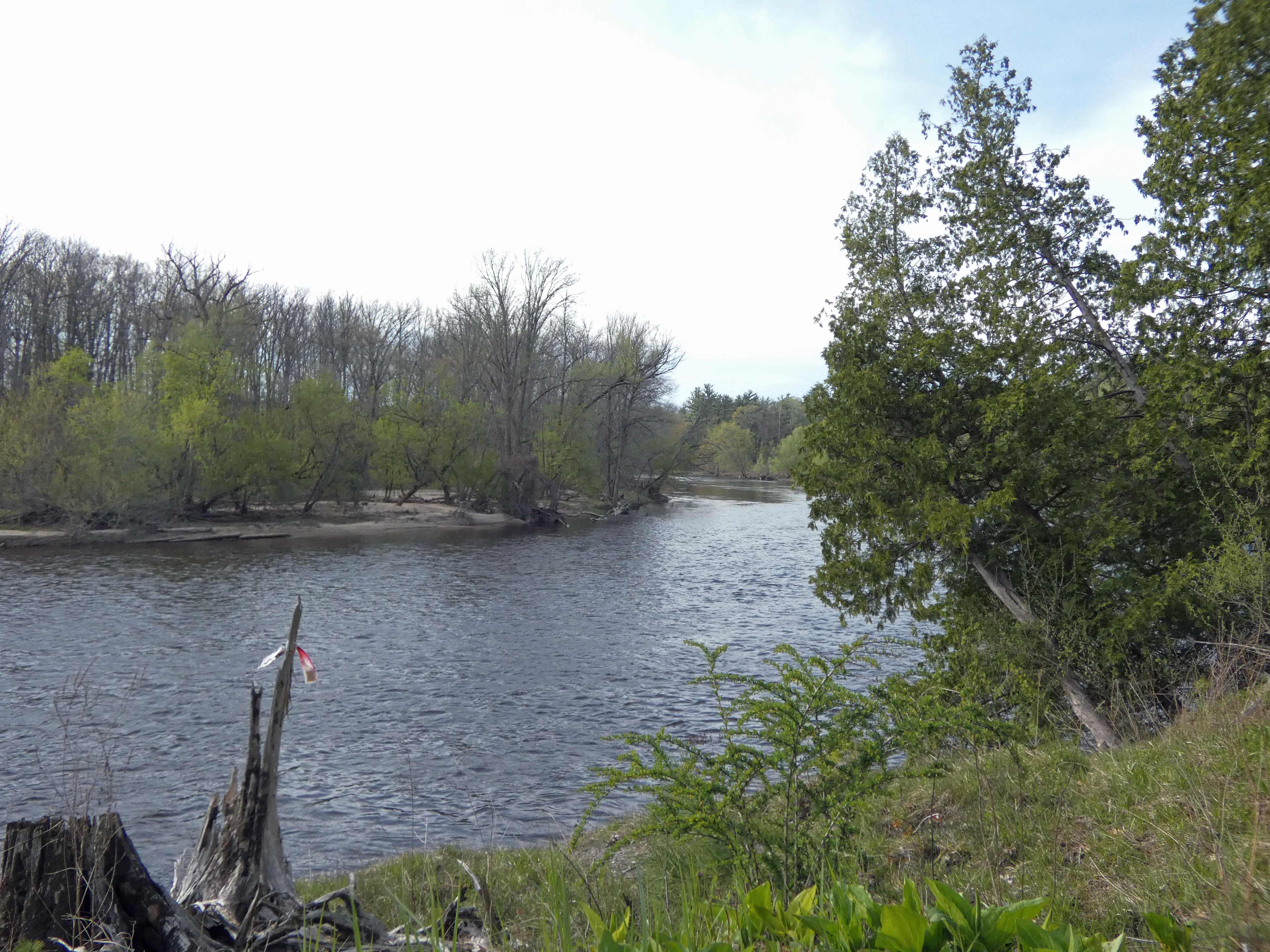 Gray's Riverside Camp