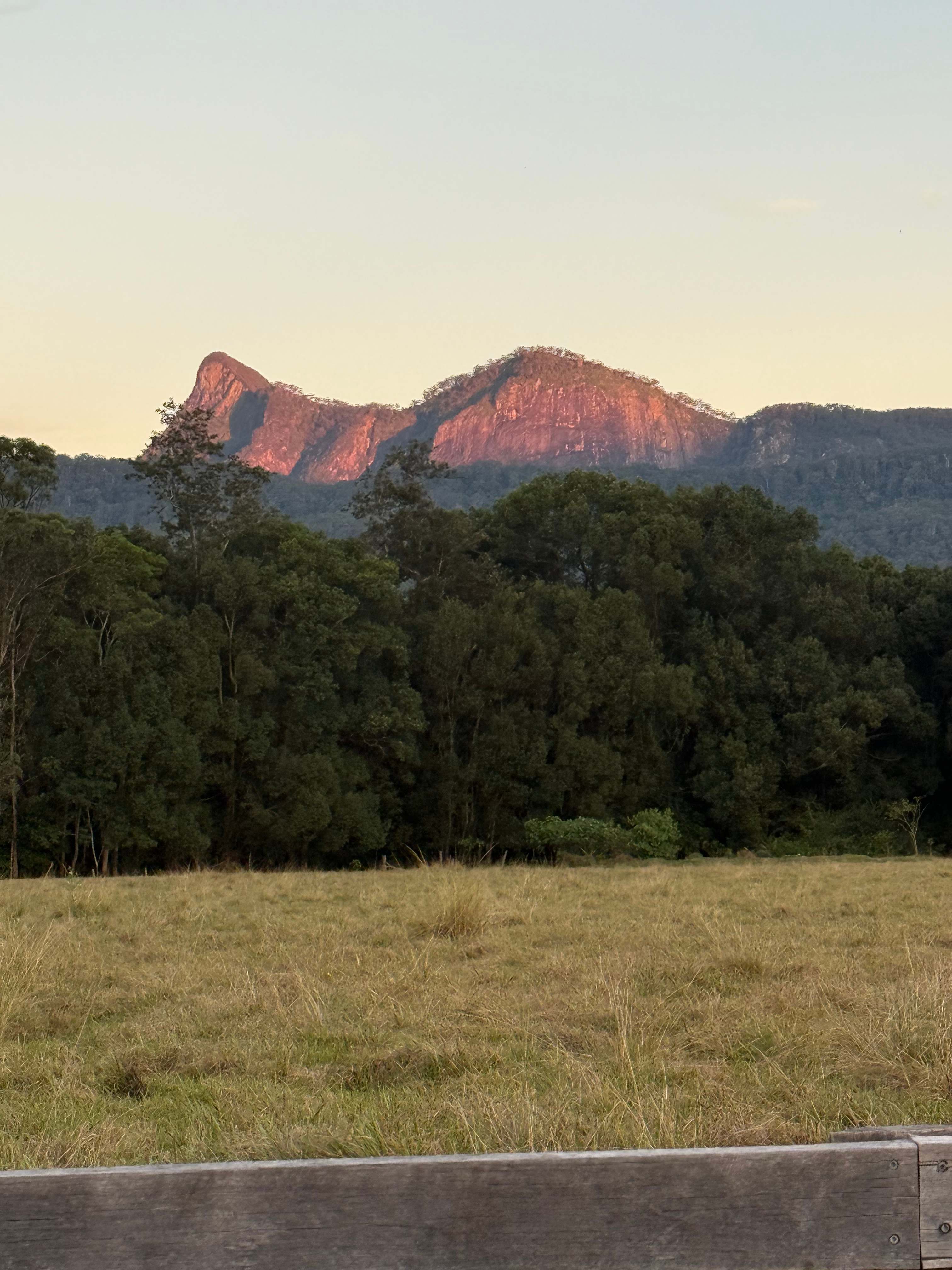 Tyalgum Showground