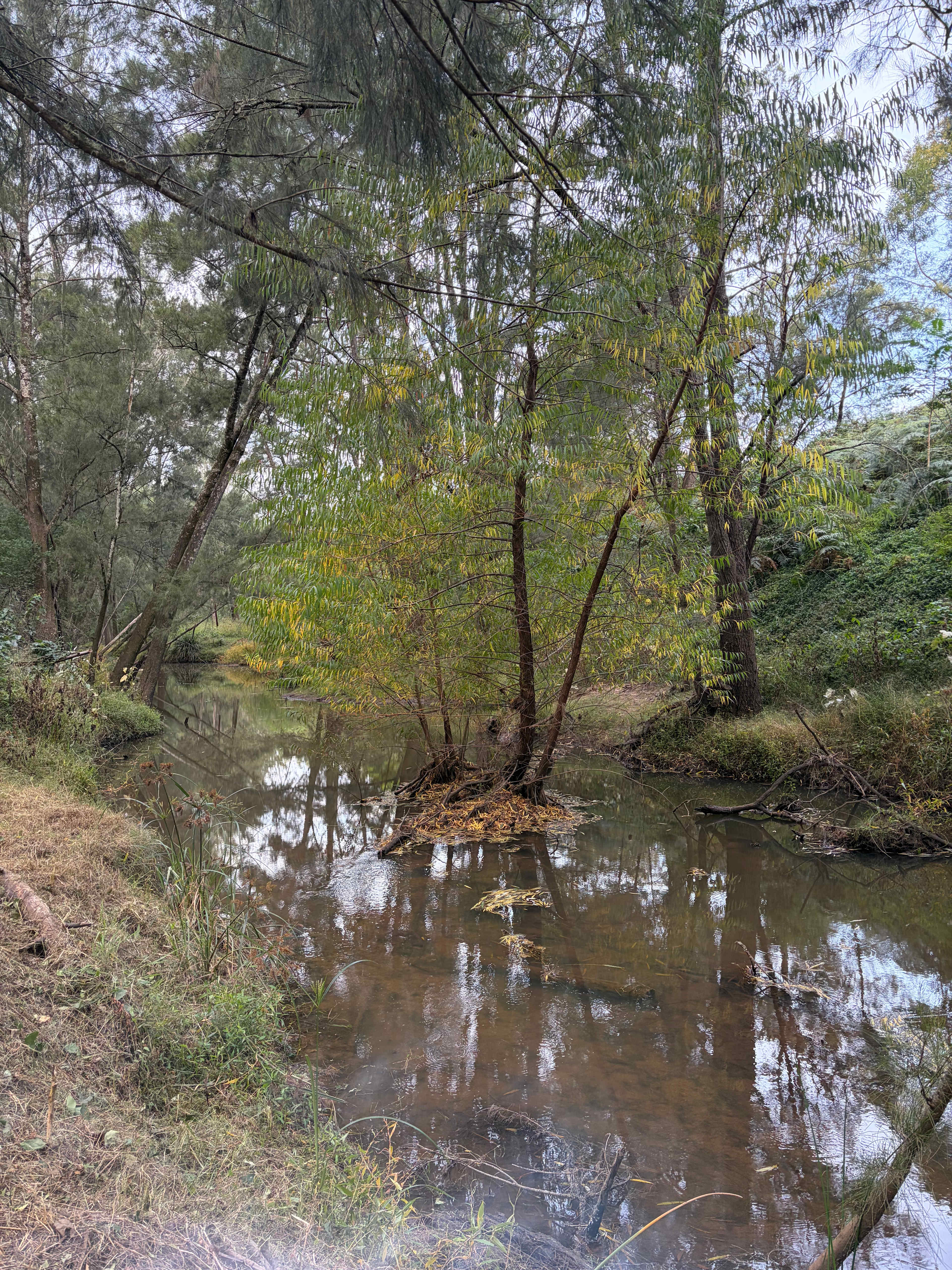 Hugo's Wollombi