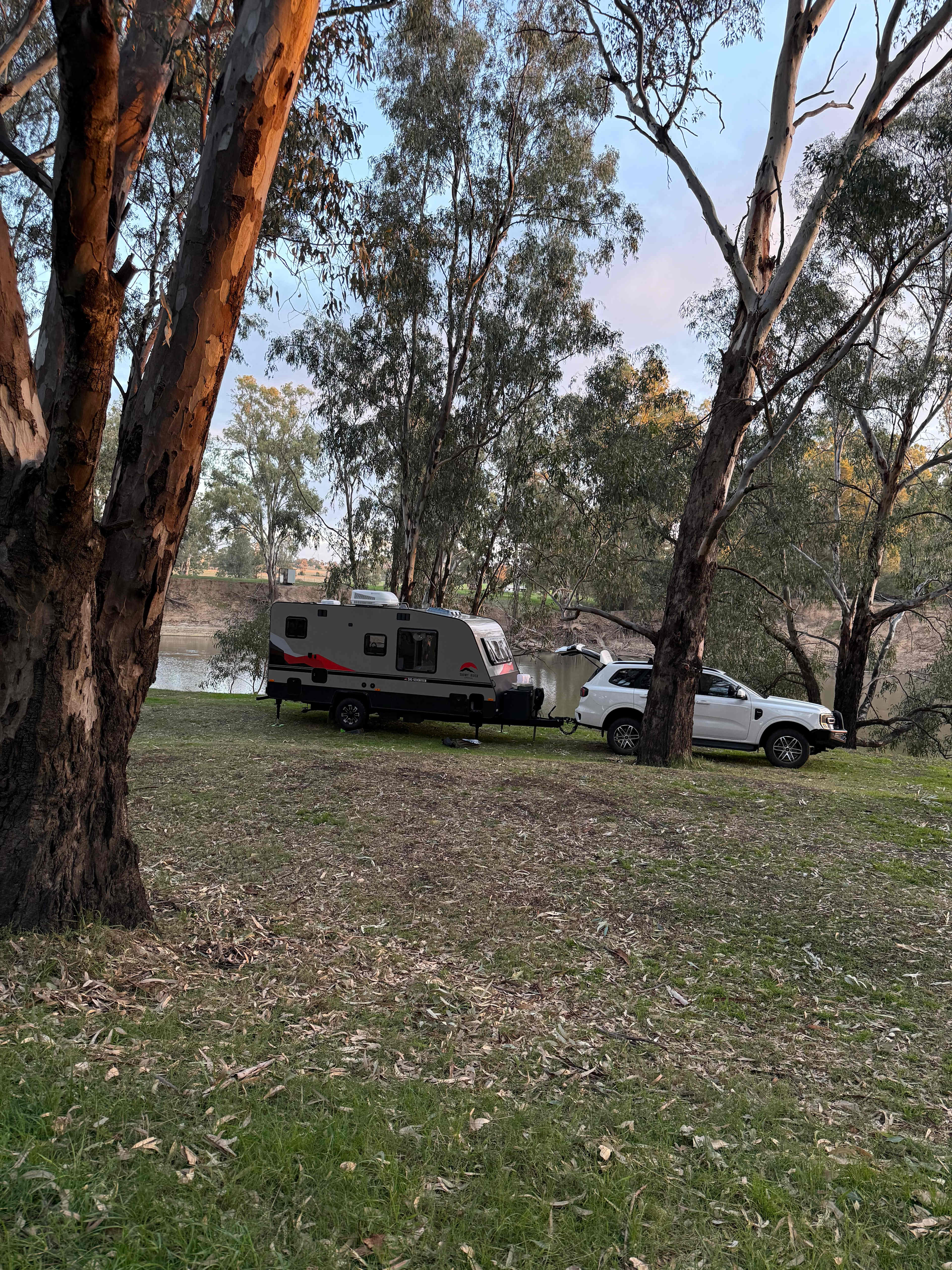 Palm Cove On The Murrumbidgee