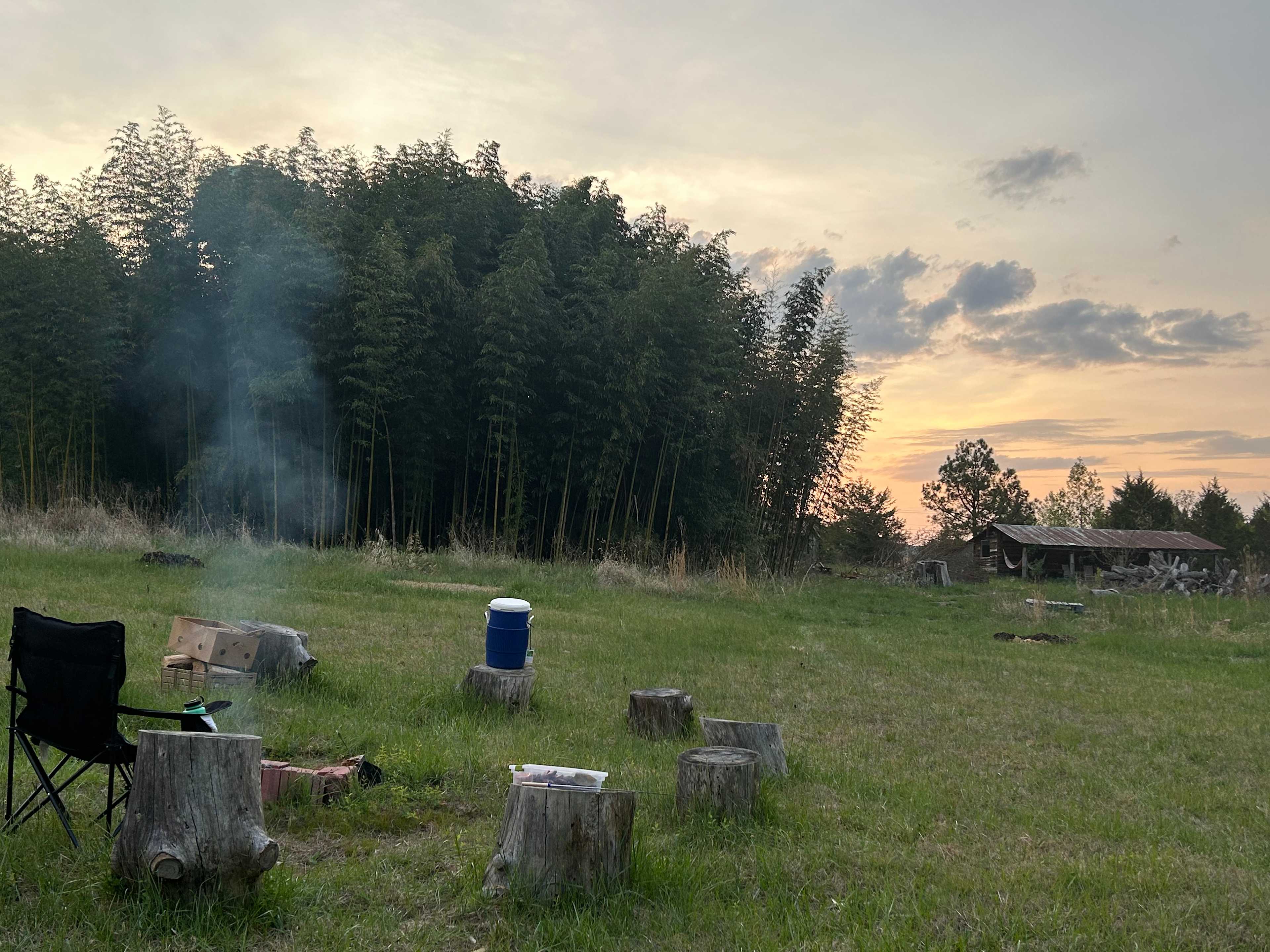 Picture of the site