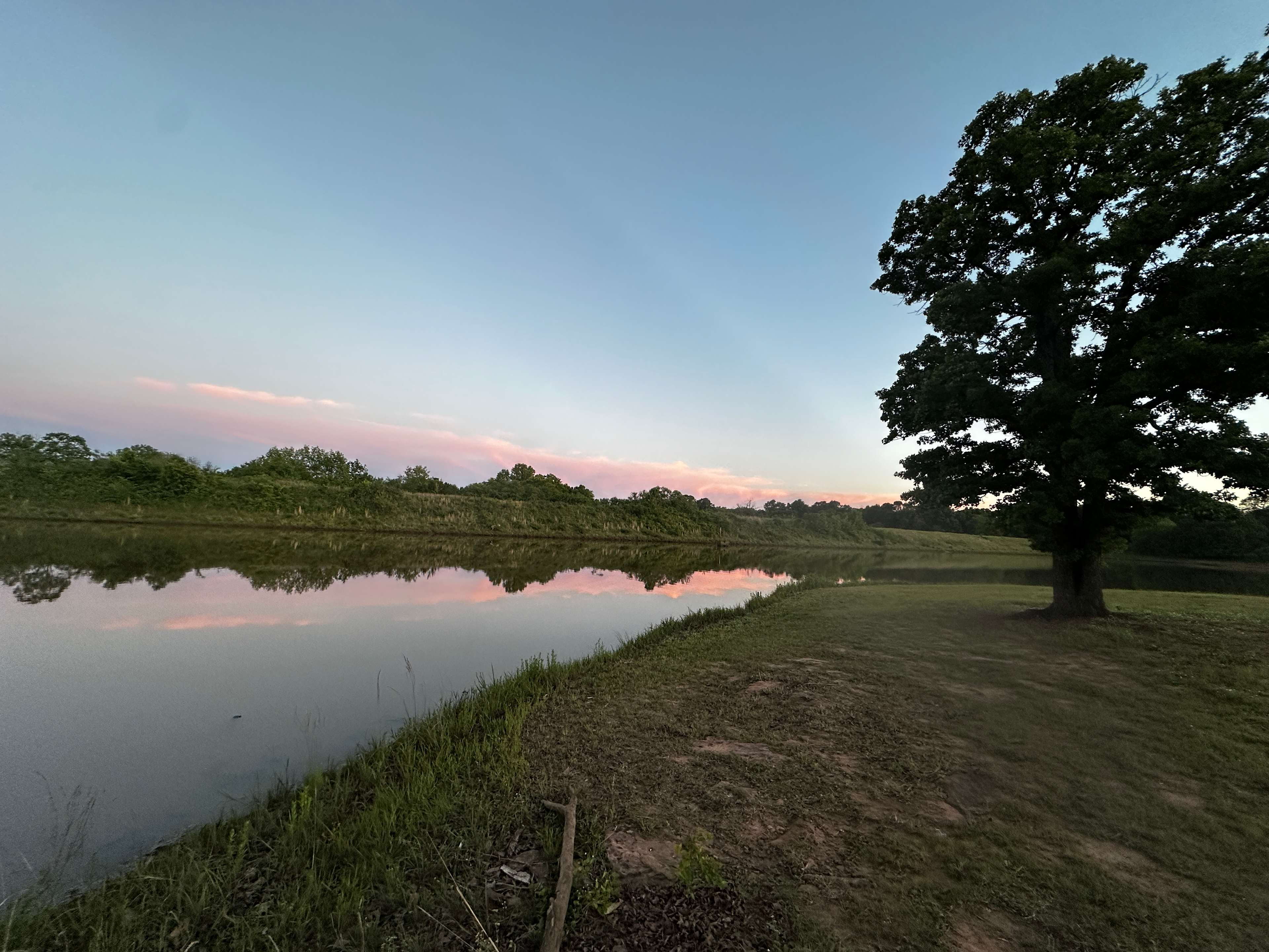 Scaife Pond