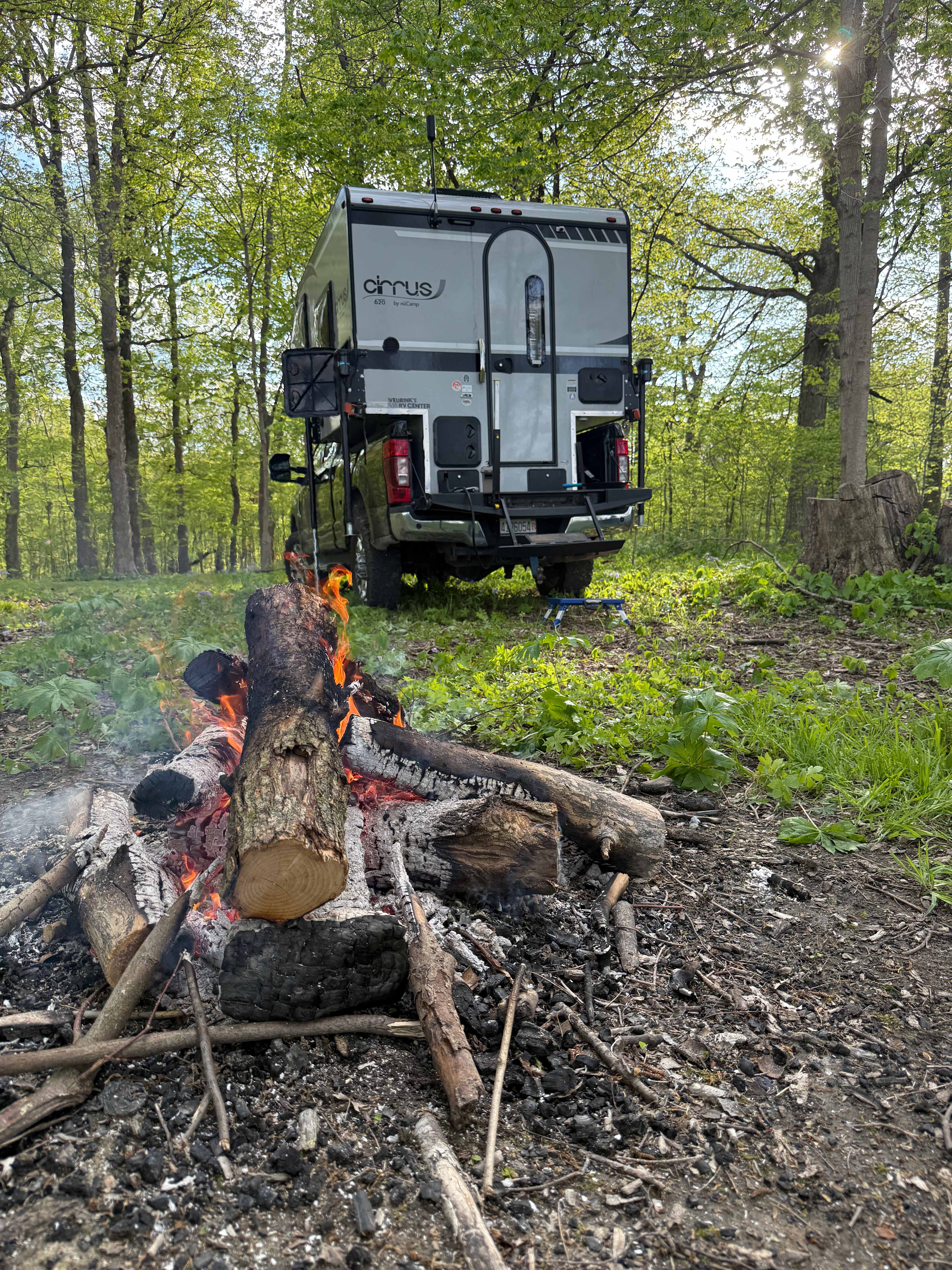 Lots of firewood