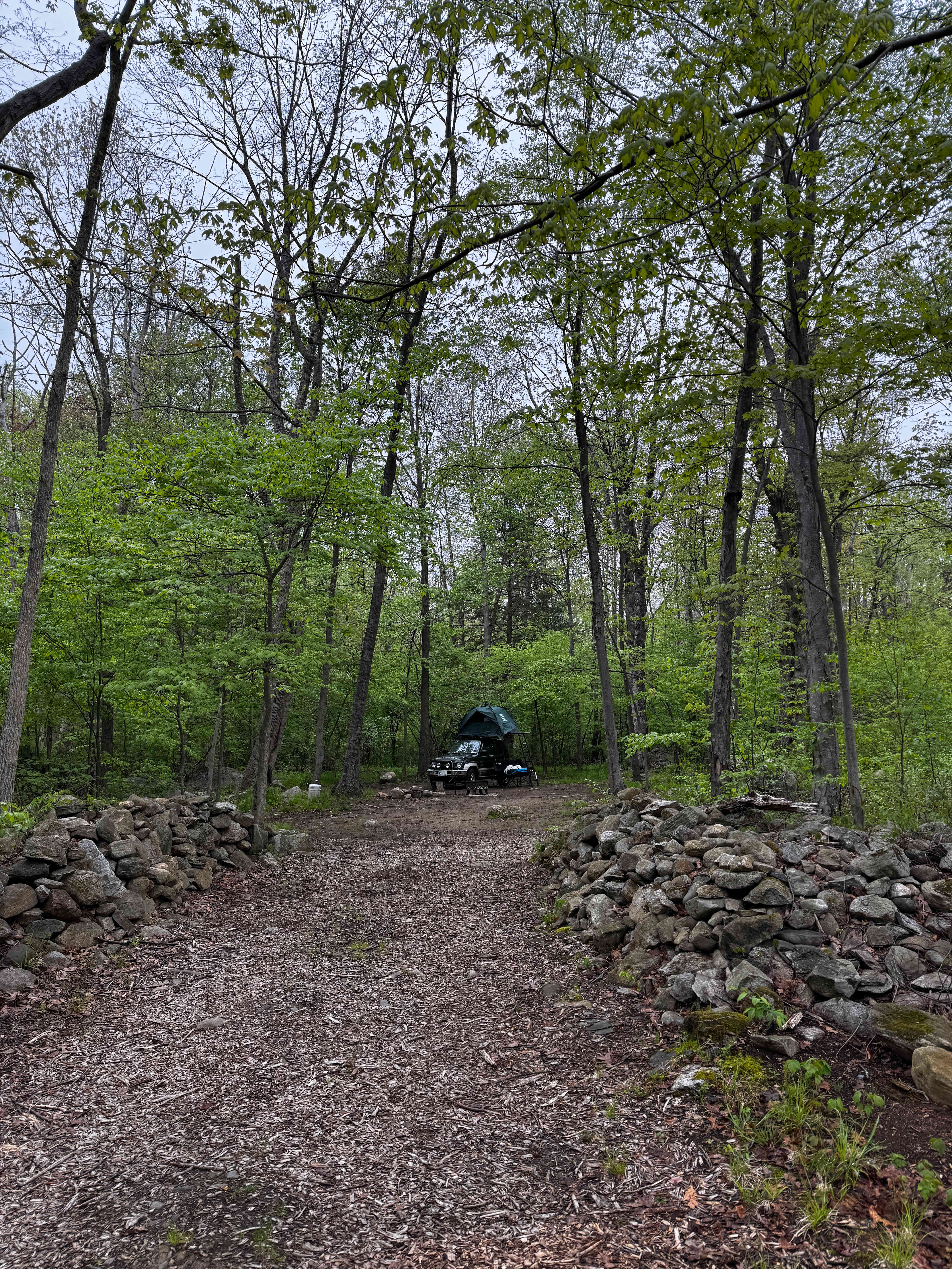 Site 6