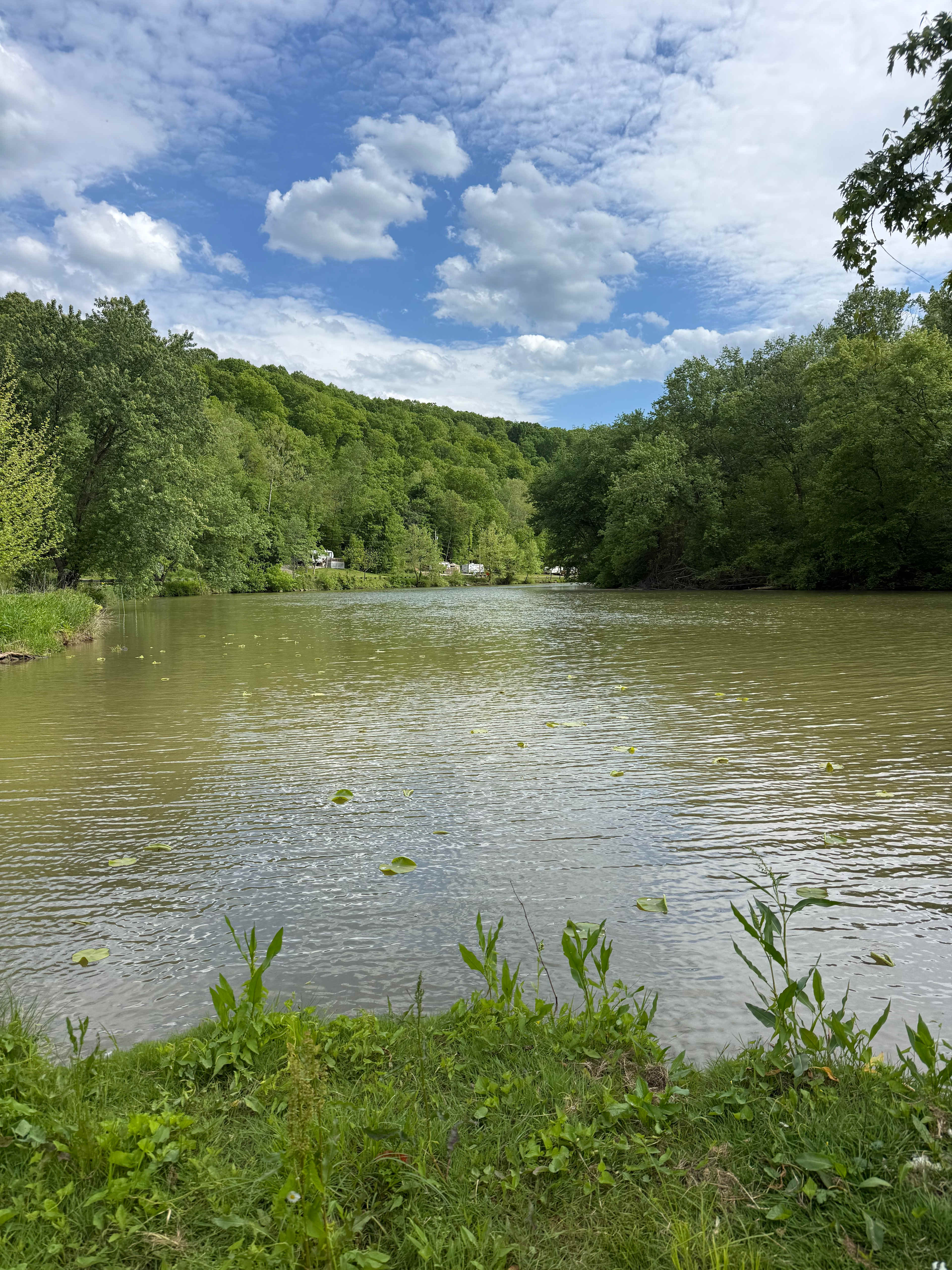 Werry's Secret Resort on the River